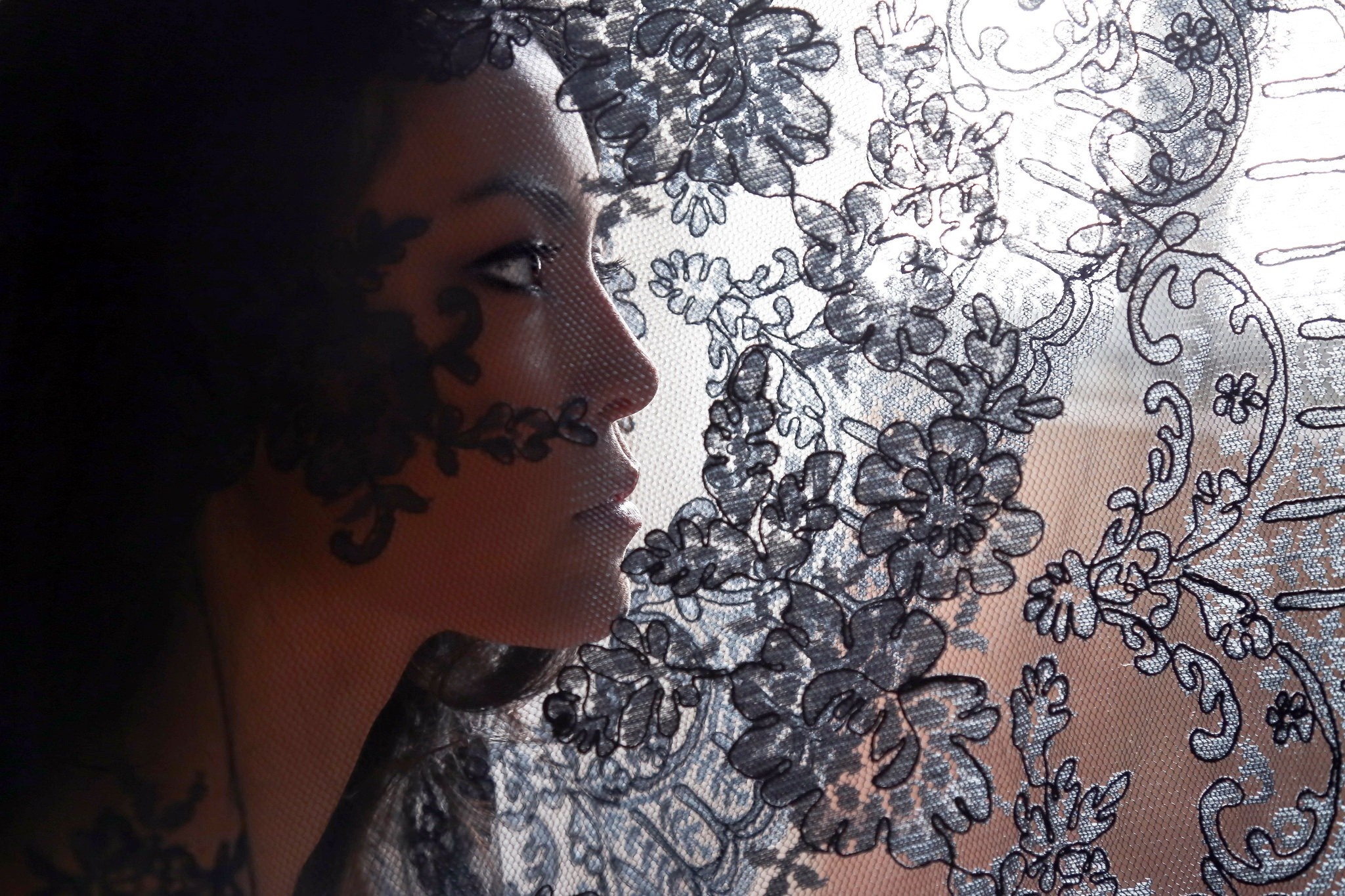 Woman's profile behind black lace veil HD Wallpaper