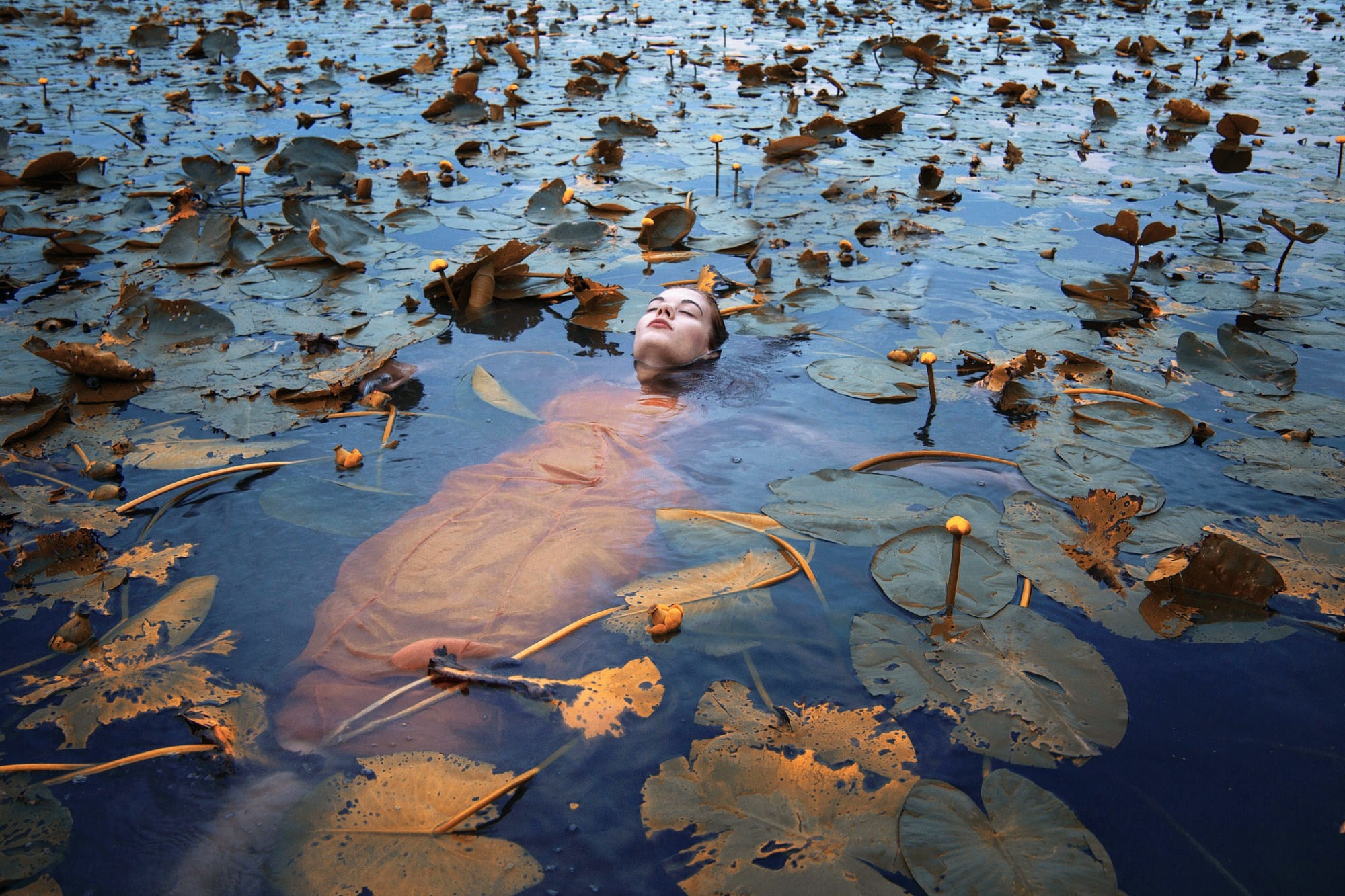 Woman submerged in water with lily pads HD Wallpaper