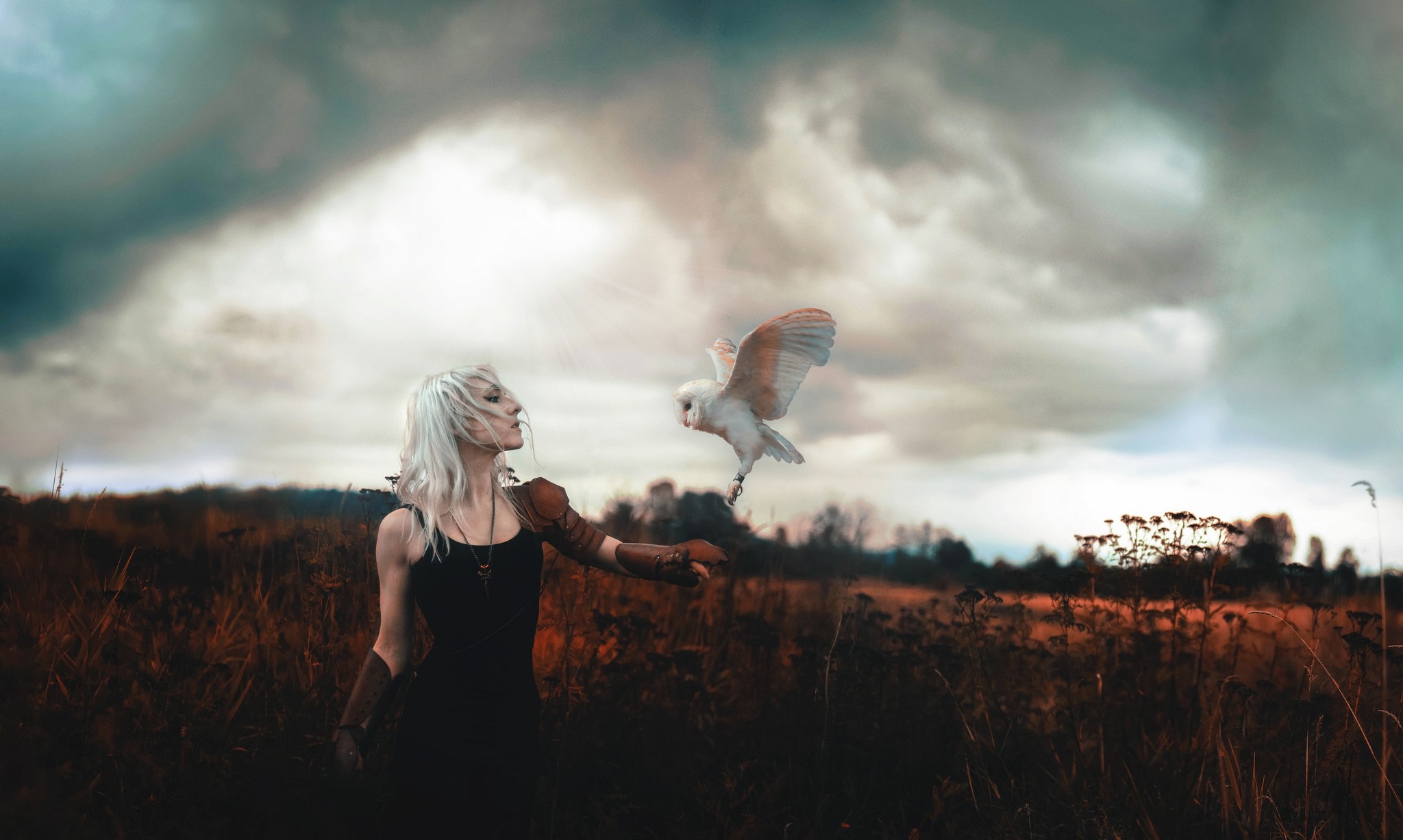 Woman with owl in a field at sunset HD Wallpaper