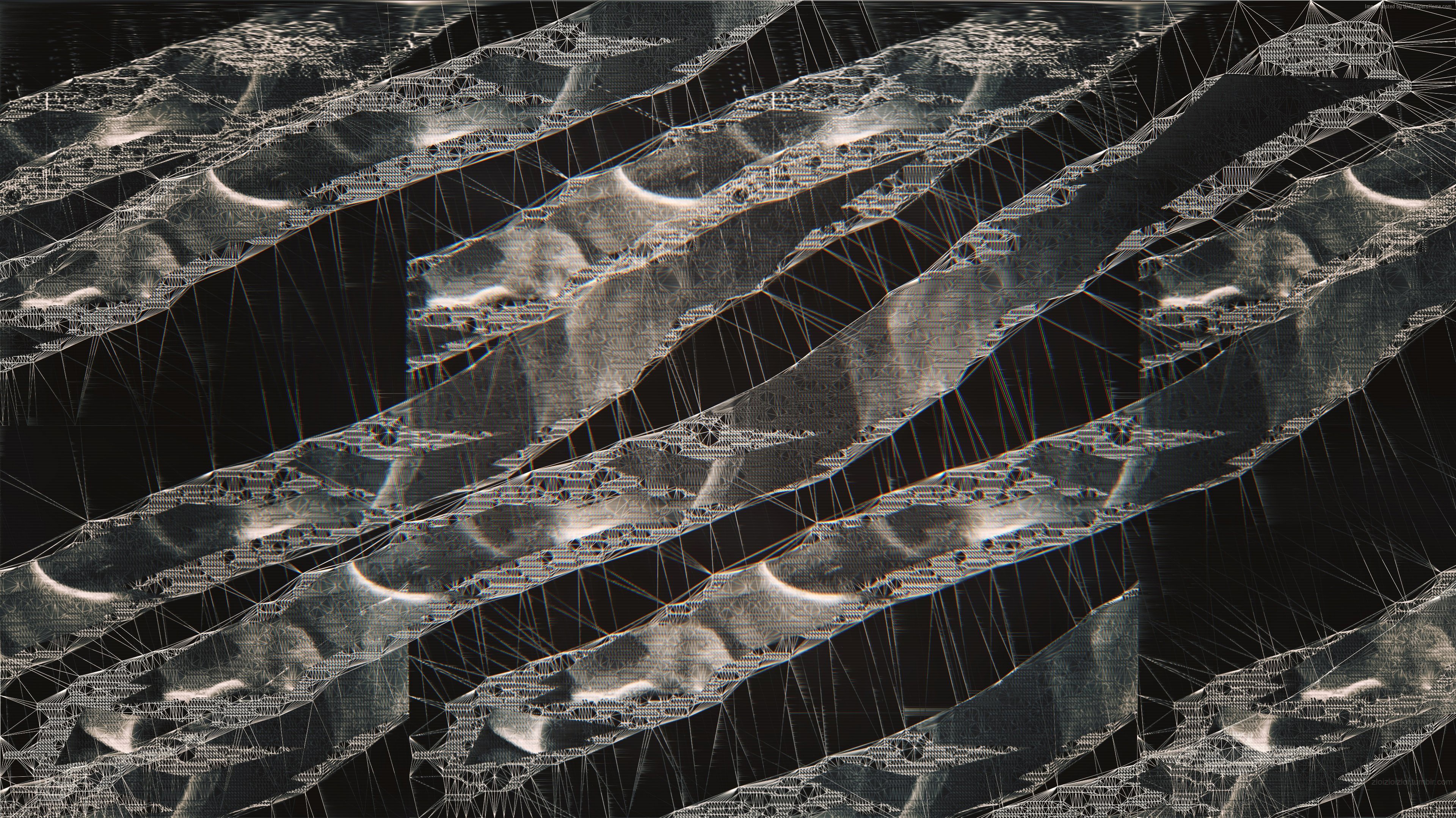 Abstract 4K Microbes HD Wallpaper