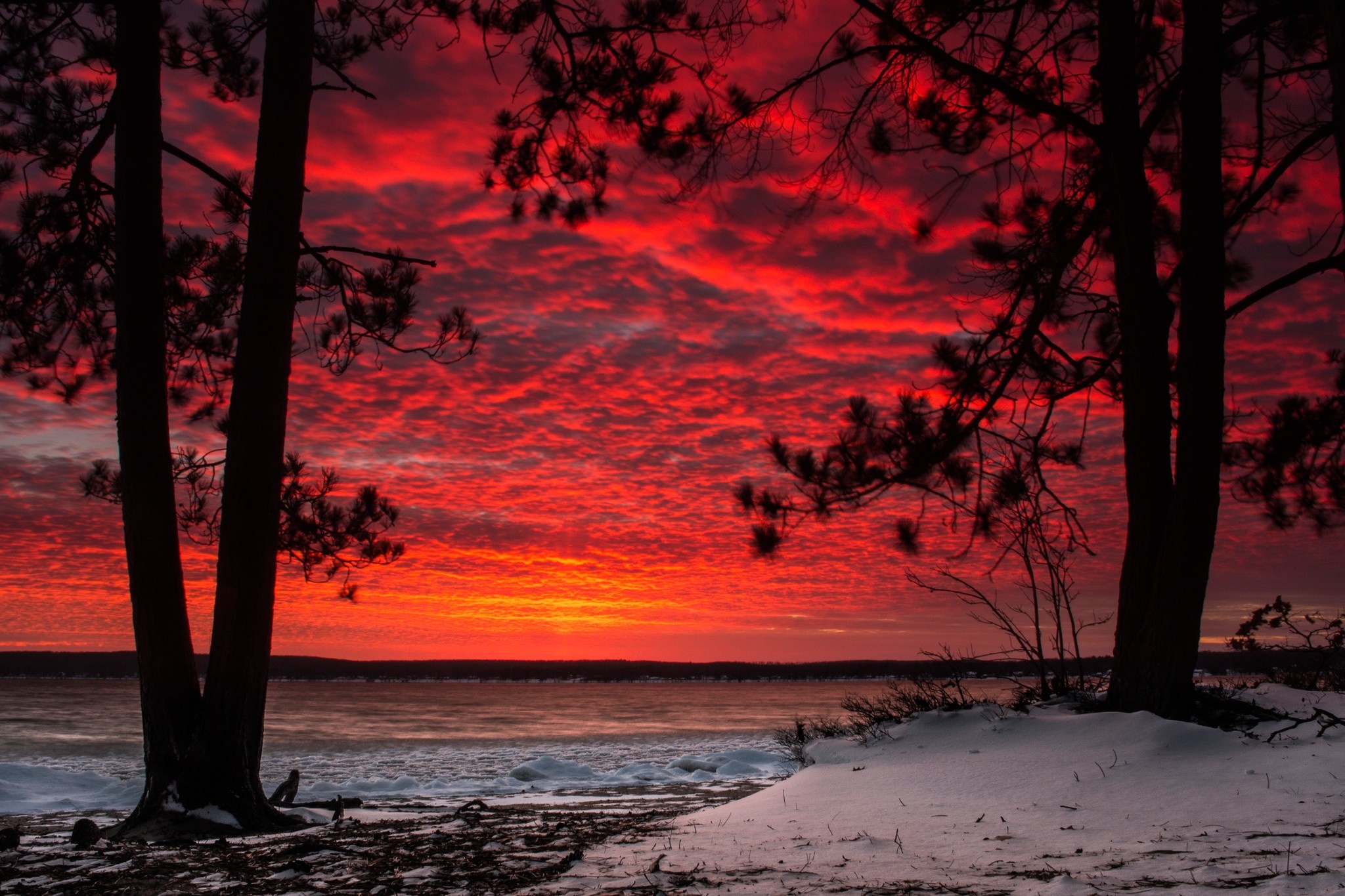 Fiery sunset over a snowy landscape with silhouetted trees HD Wallpaper