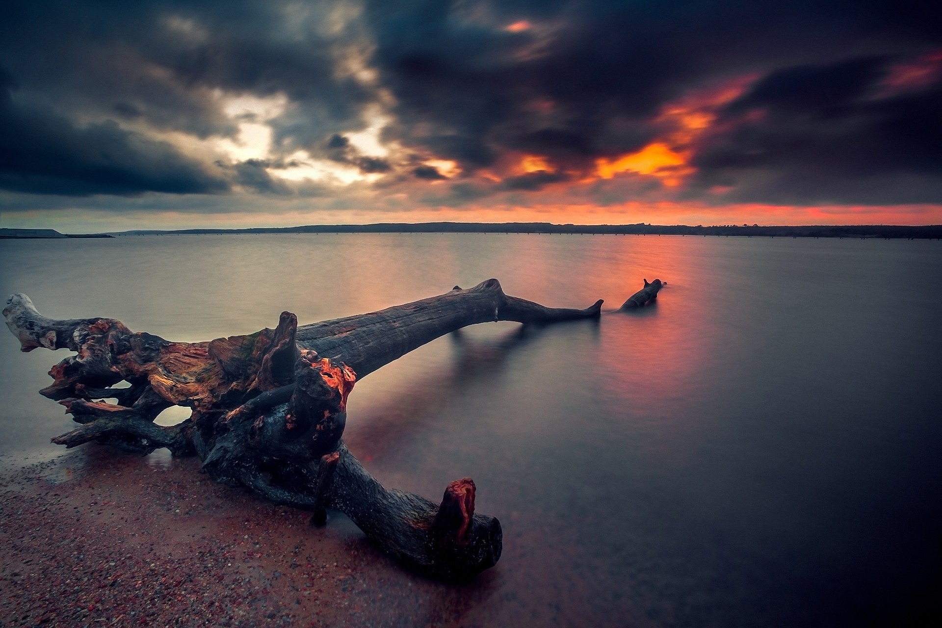 Driftwood in the ocean at sunset HD Wallpaper