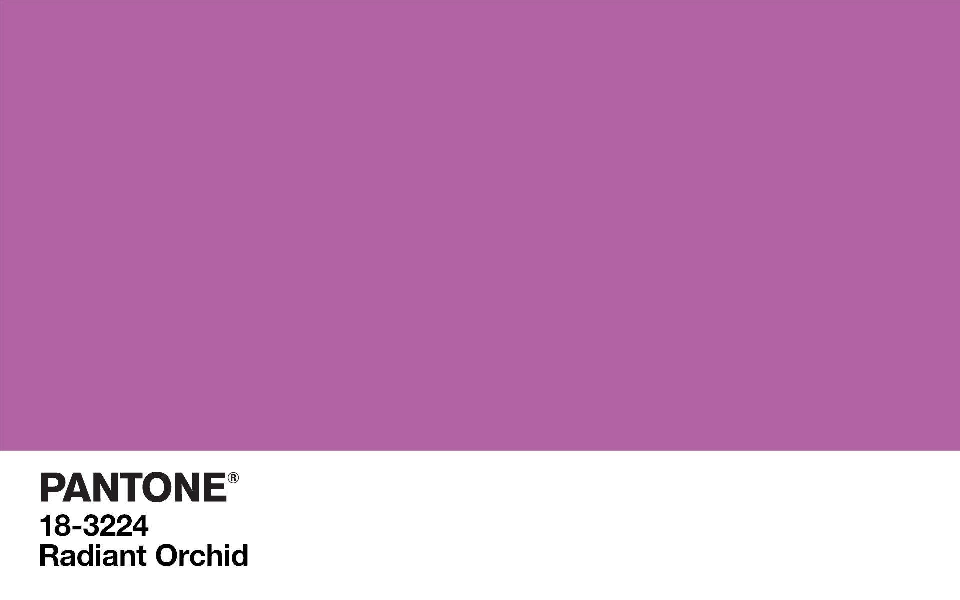 Pantone 18-3224 Radiant Orchid color swatch HD Wallpaper
