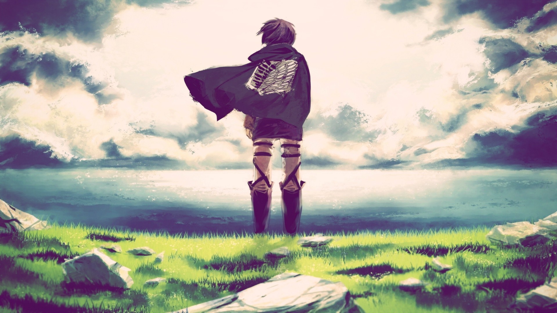 Mikasa Ackerman from Shingeki no Kyojin standing in a meadow HD Wallpaper