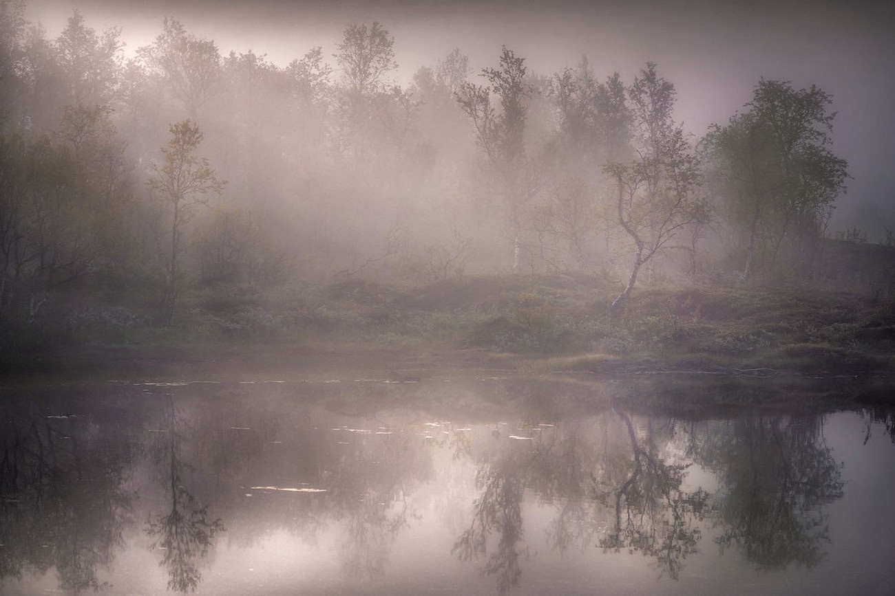 Misty forest landscape with lake reflection at dawn HD Wallpaper