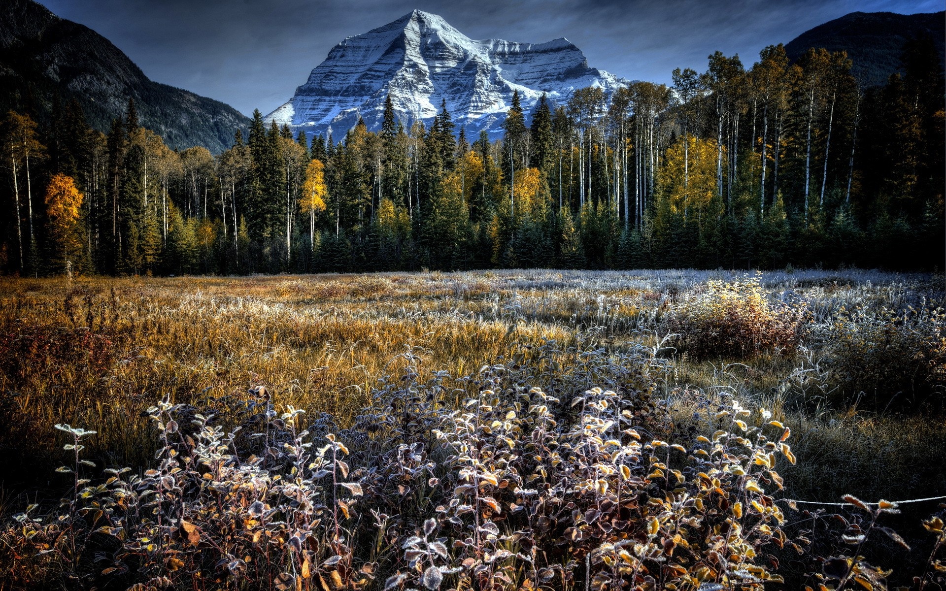 Frosty Meadow with Mountain and Autumn Forest HD Wallpaper