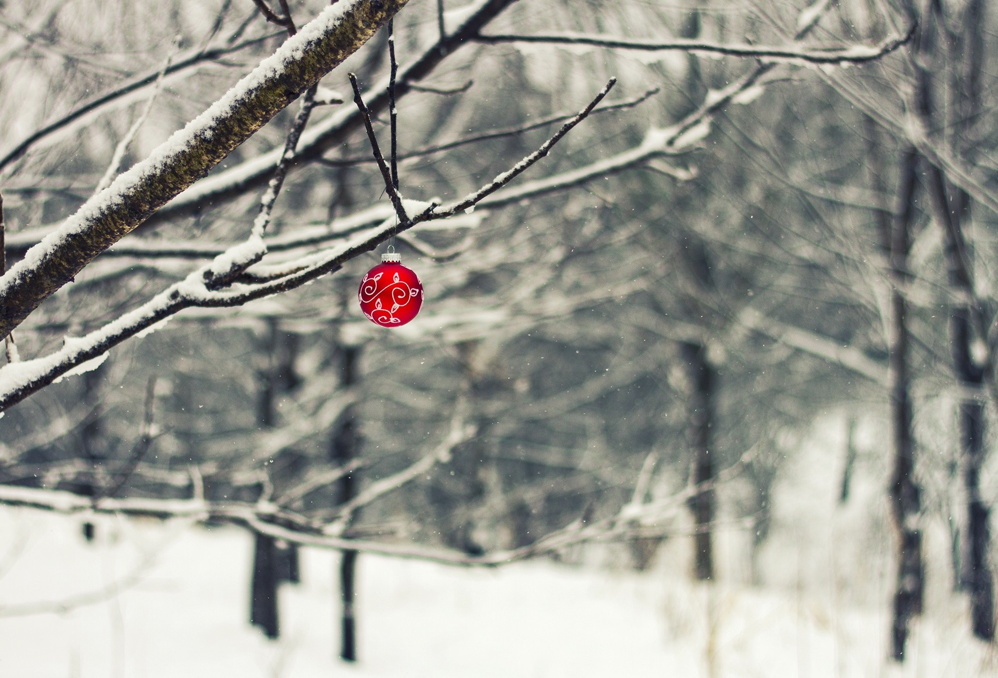 Red Christmas ornament on a snowy tree branch HD Wallpaper