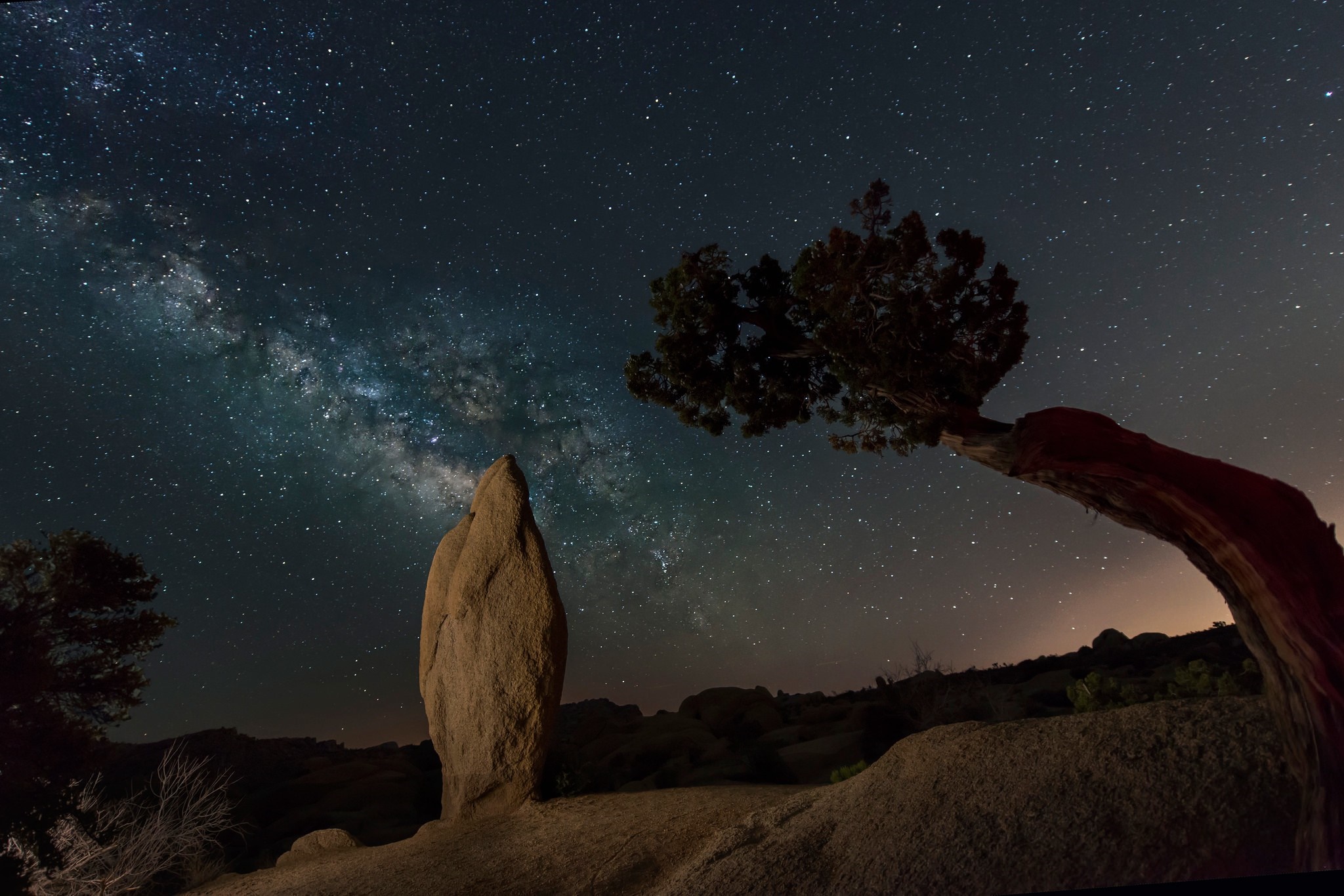 Milky Way over desert rock formations and Joshua Tree HD Wallpaper