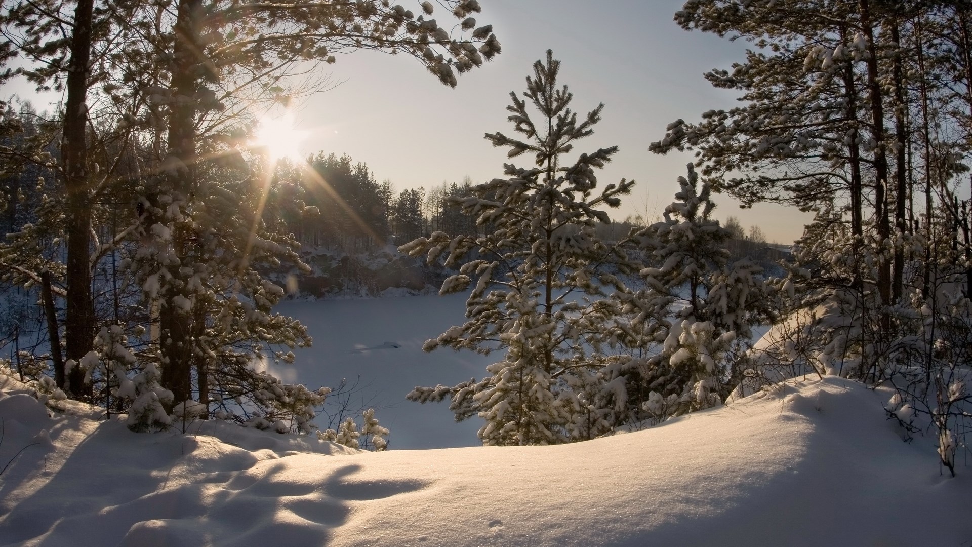 Sunlight through snow-covered trees overlooking a frozen lake HD Wallpaper
