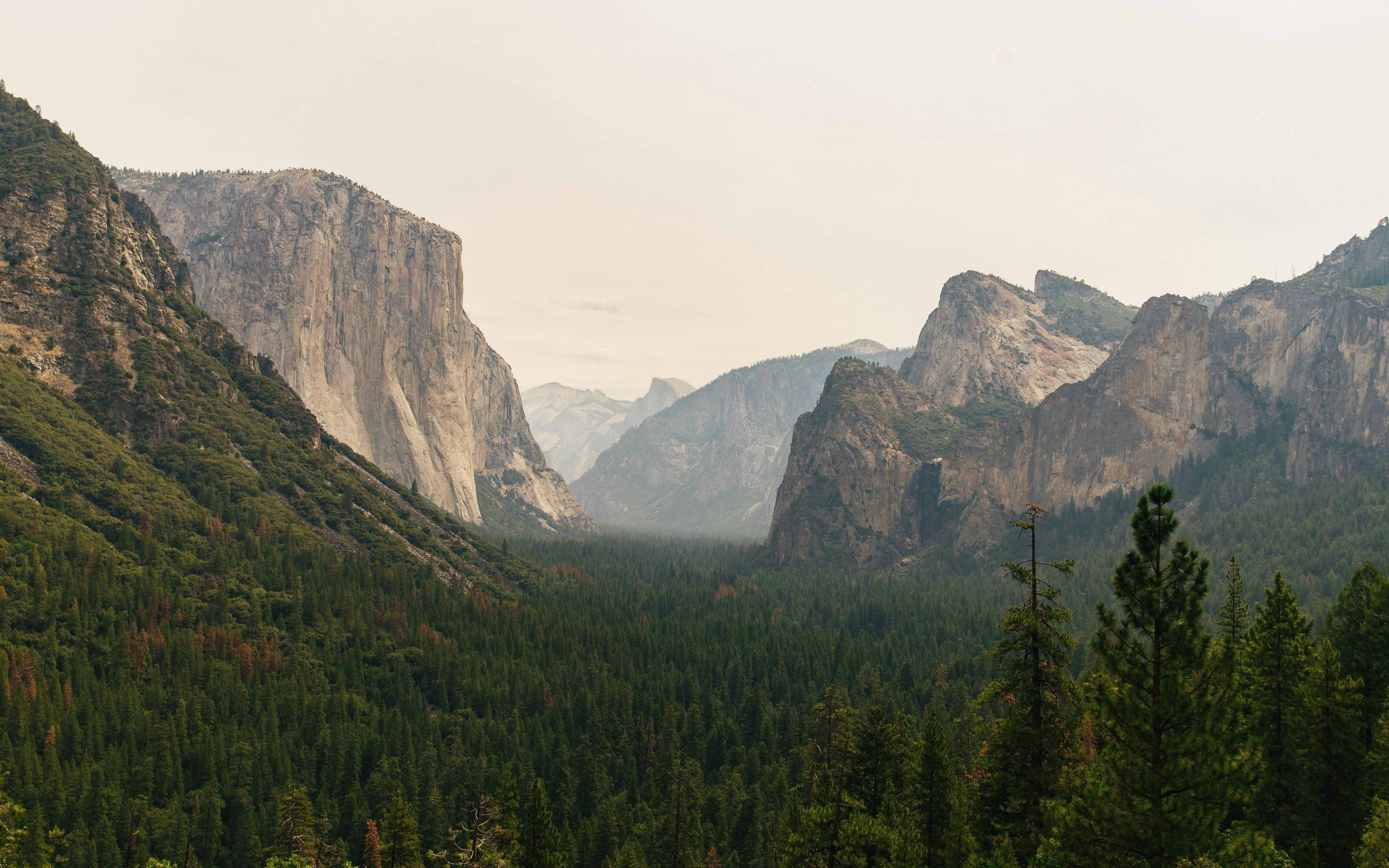 Yosemite Valley with El Capitan and Forest HD Wallpaper