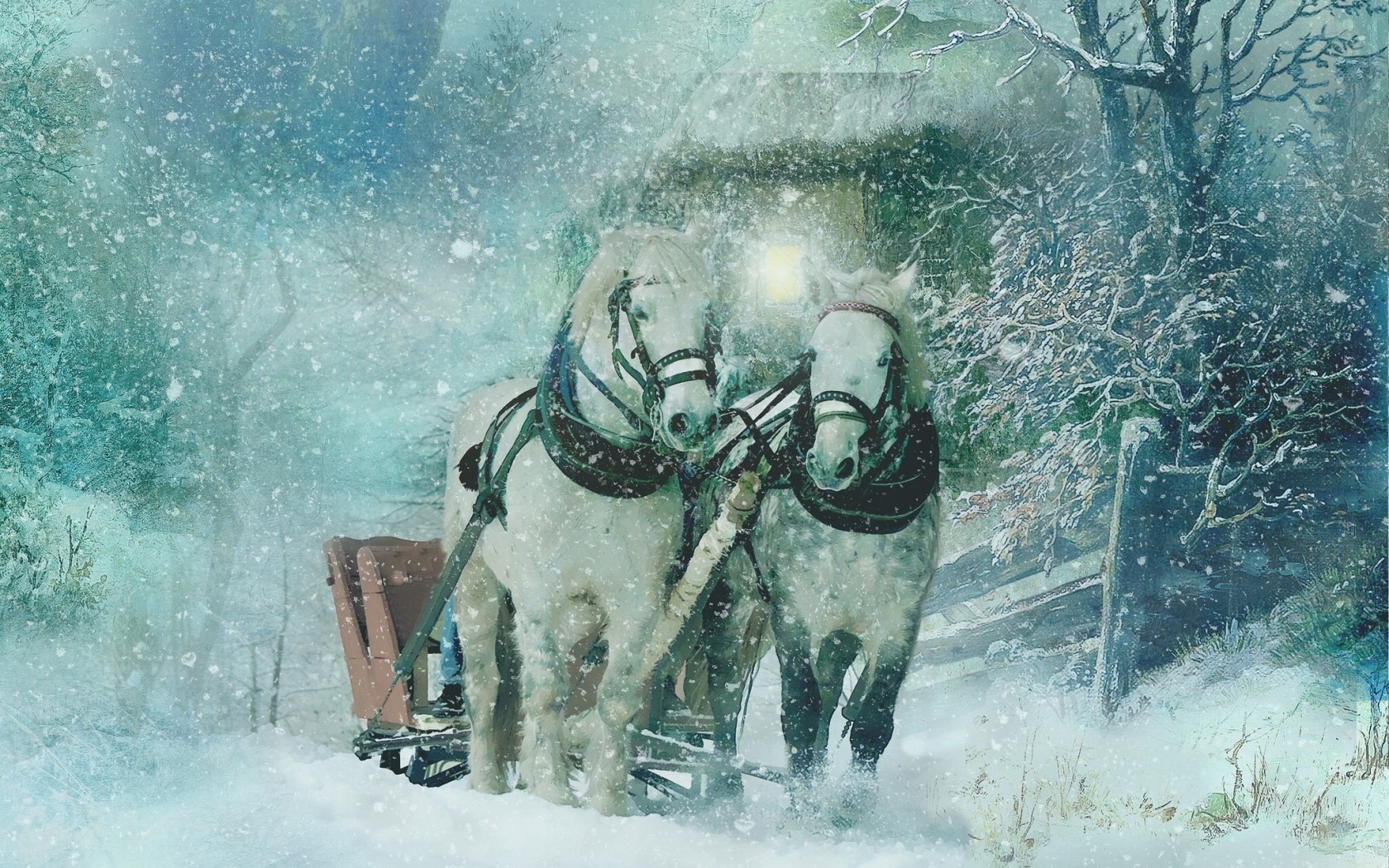 Two white horses pulling a sleigh in a snowy forest HD Wallpaper
