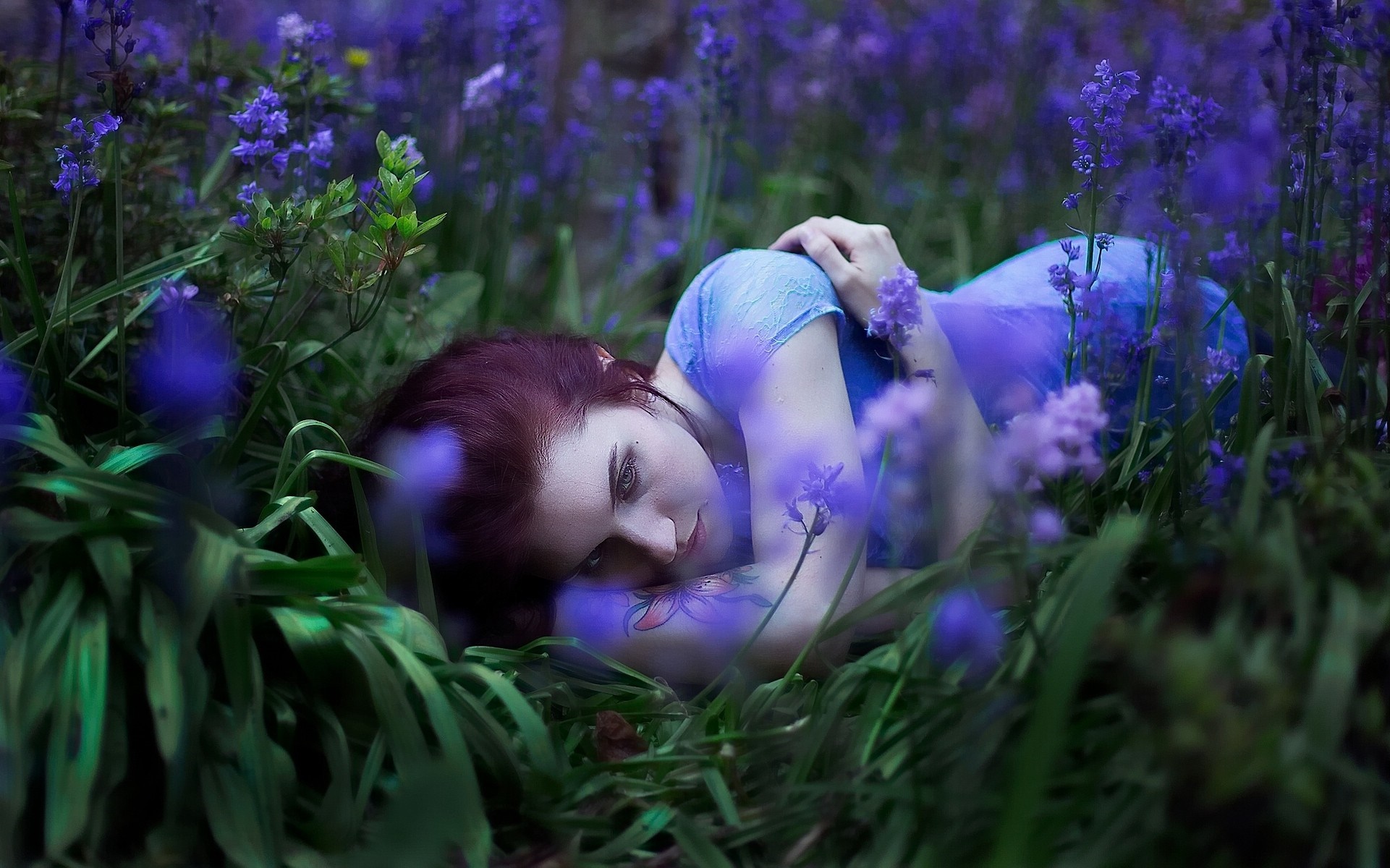Woman lying in a field of purple flowers HD Wallpaper