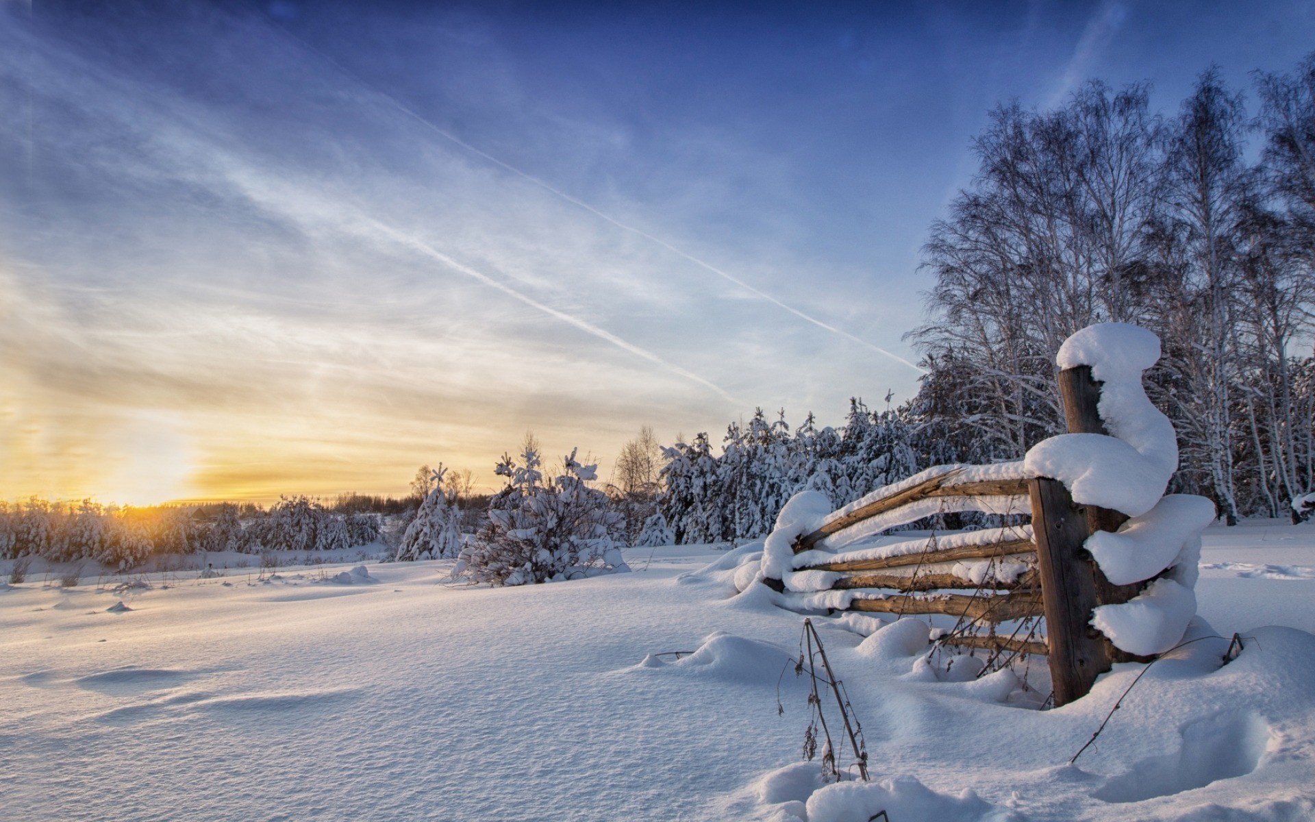 Winter landscape with snow-covered trees and fence at sunrise HD Wallpaper