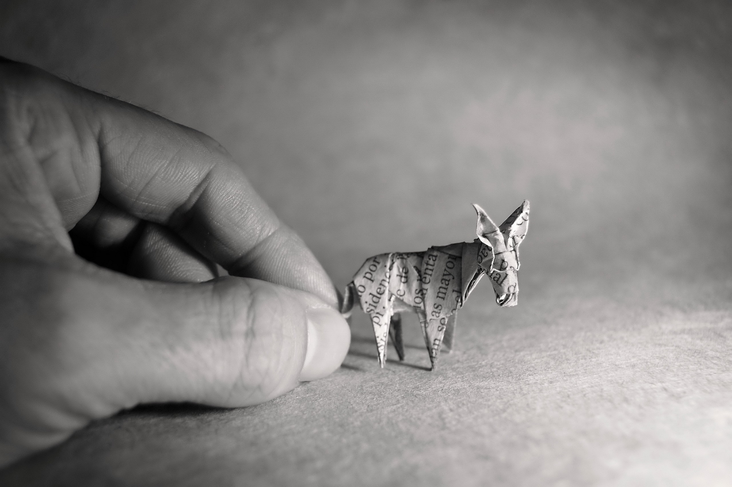 Origami donkey made of newspaper held by a hand HD Wallpaper