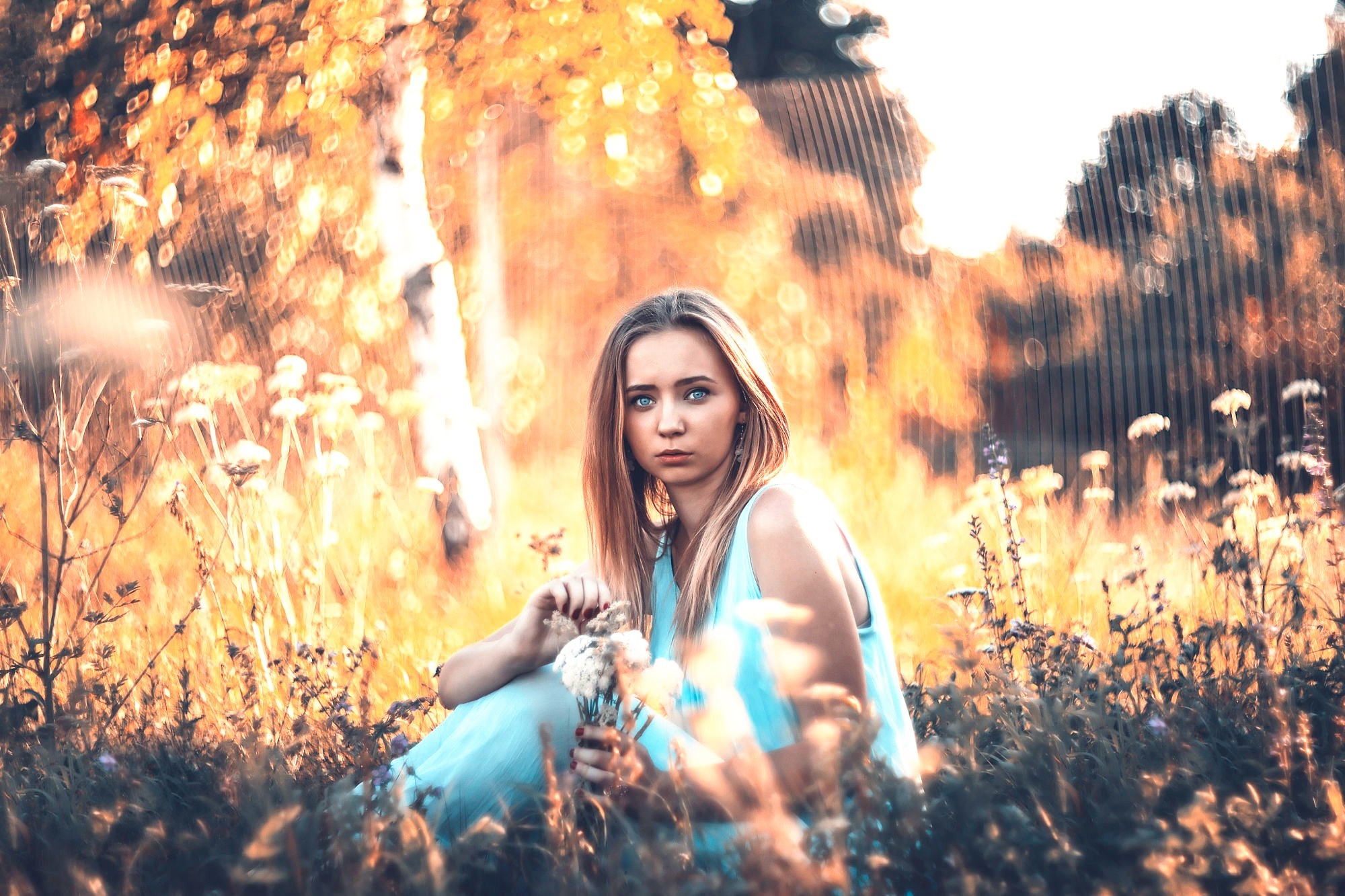 Woman sitting in a field of flowers during autumn HD Wallpaper