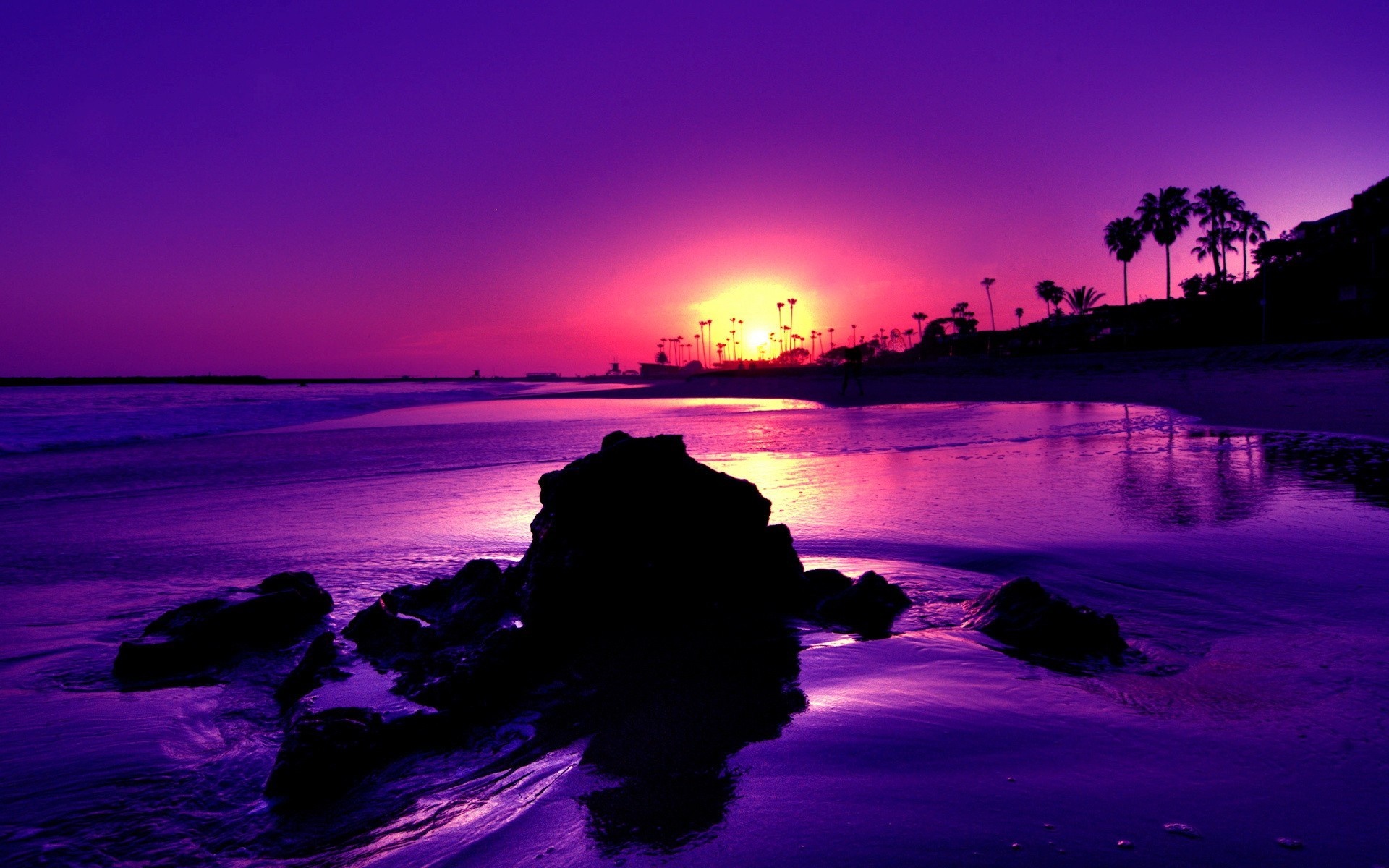 Purple sunset over a rocky beach with palm trees HD Wallpaper