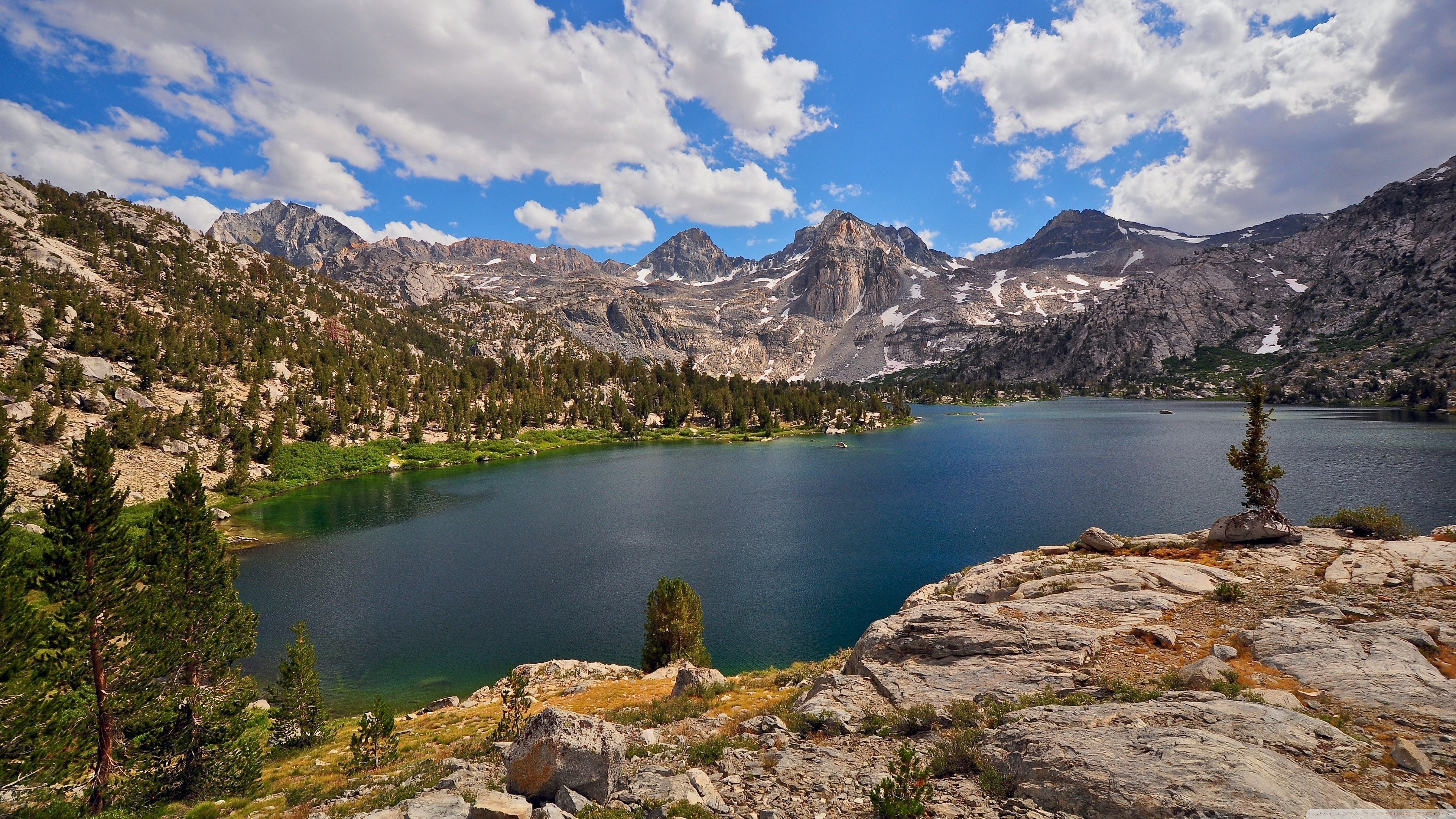 Mountain lake with pine trees and rocky shore HD Wallpaper