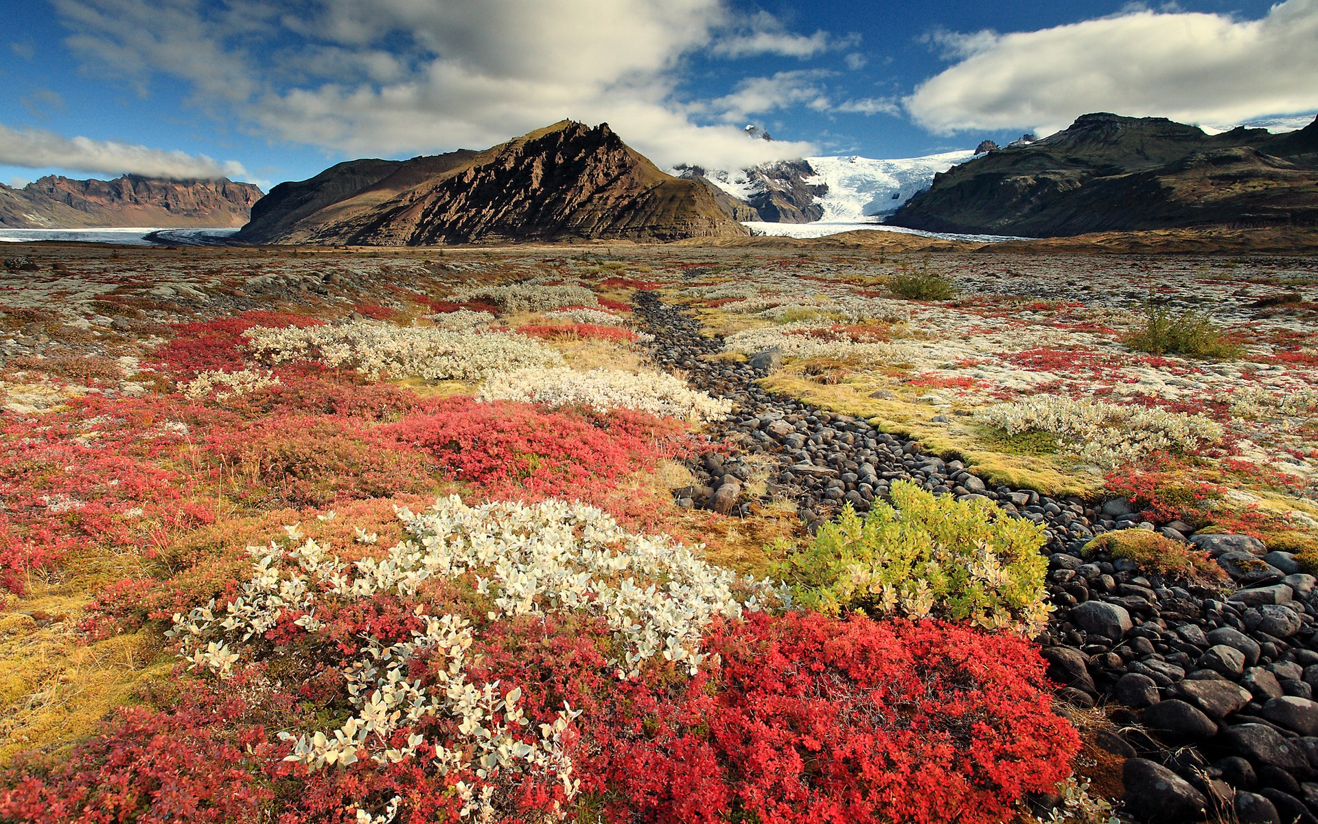 Autumn tundra with mountains and glacier HD Wallpaper