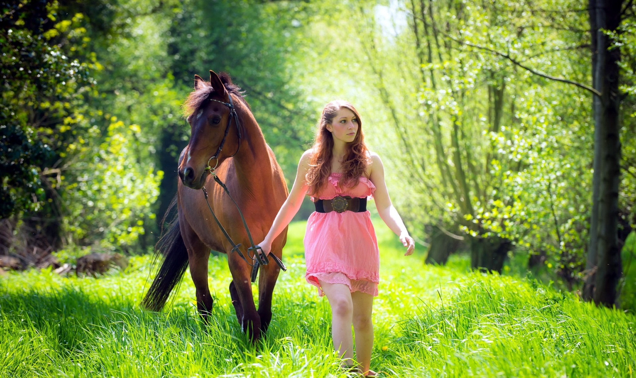 Woman walking with a horse in a green forest HD Wallpaper