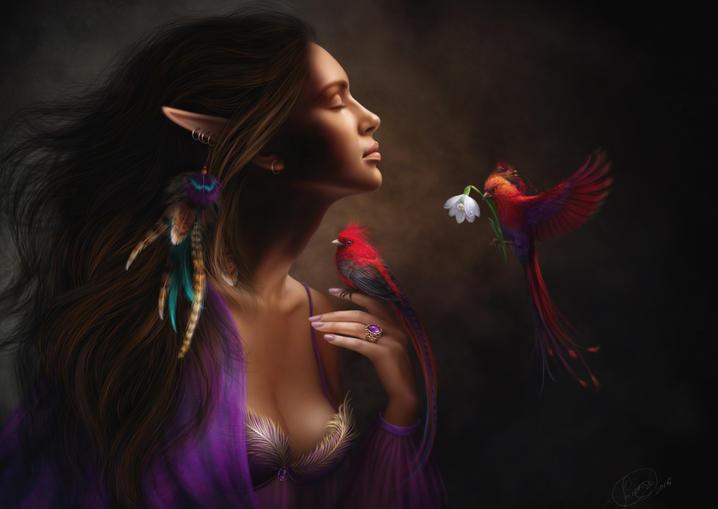 Elf woman with red birds and flower HD Wallpaper