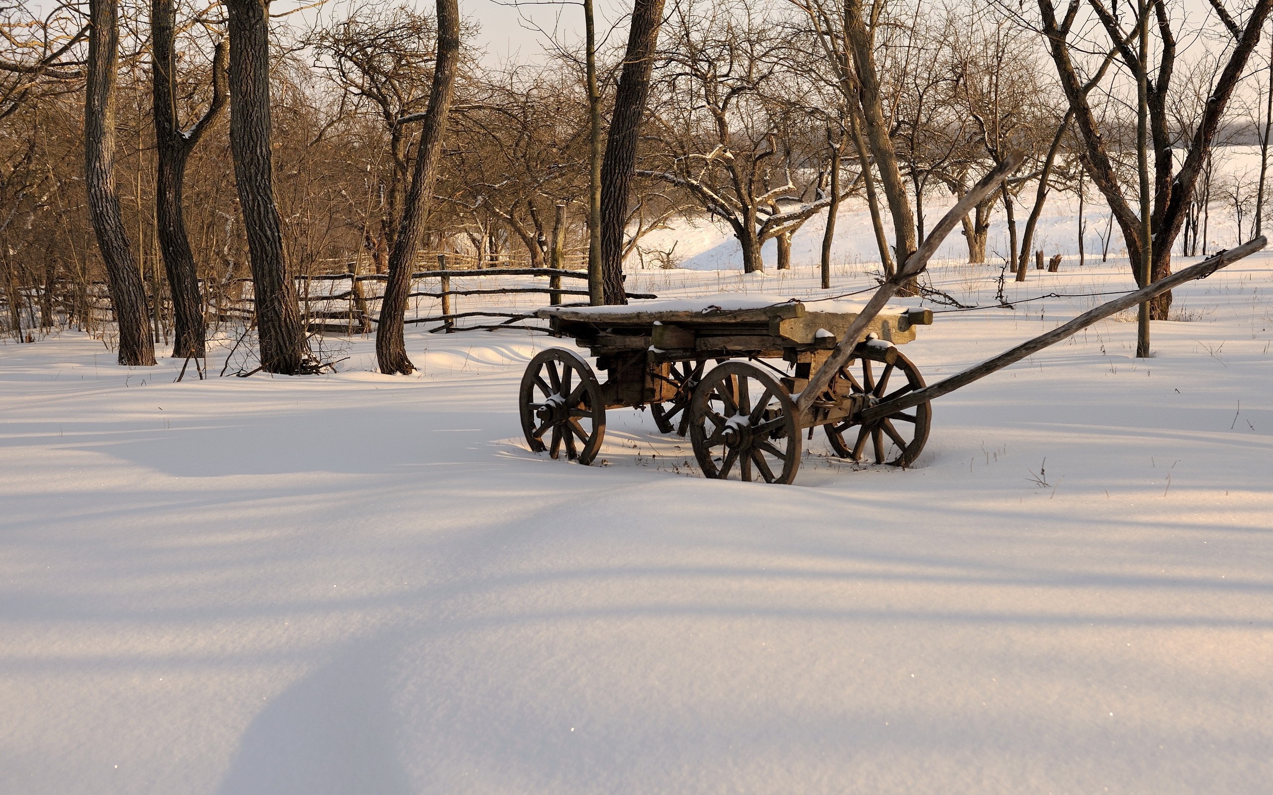 Old wooden cart in a snowy landscape with trees HD Wallpaper