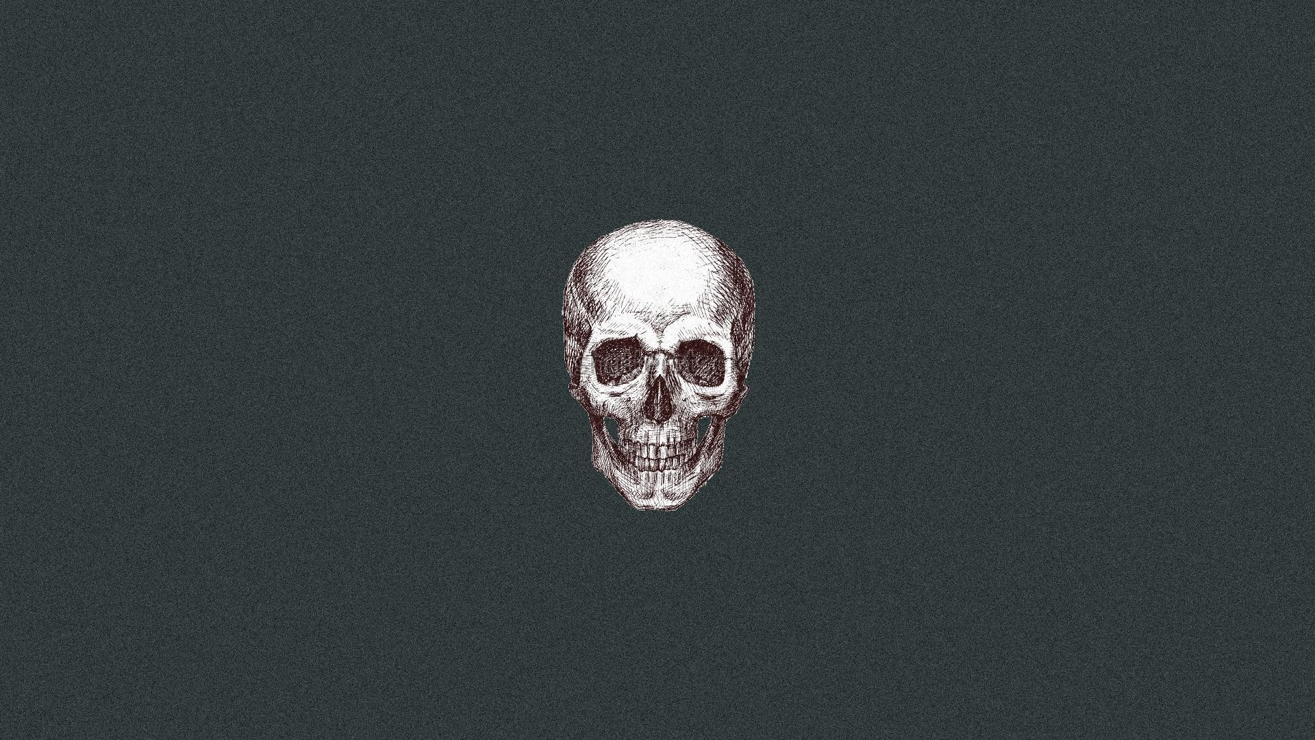 Illustration of a human skull HD Wallpaper