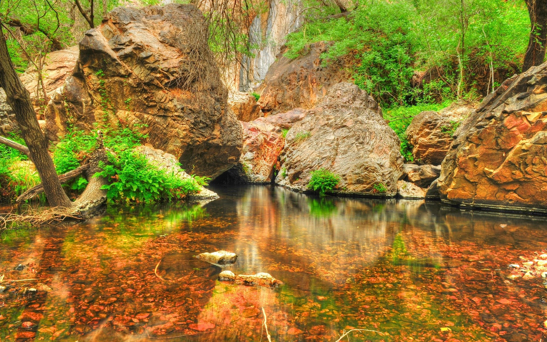A rocky gorge with a stream and lush greenery HD Wallpaper