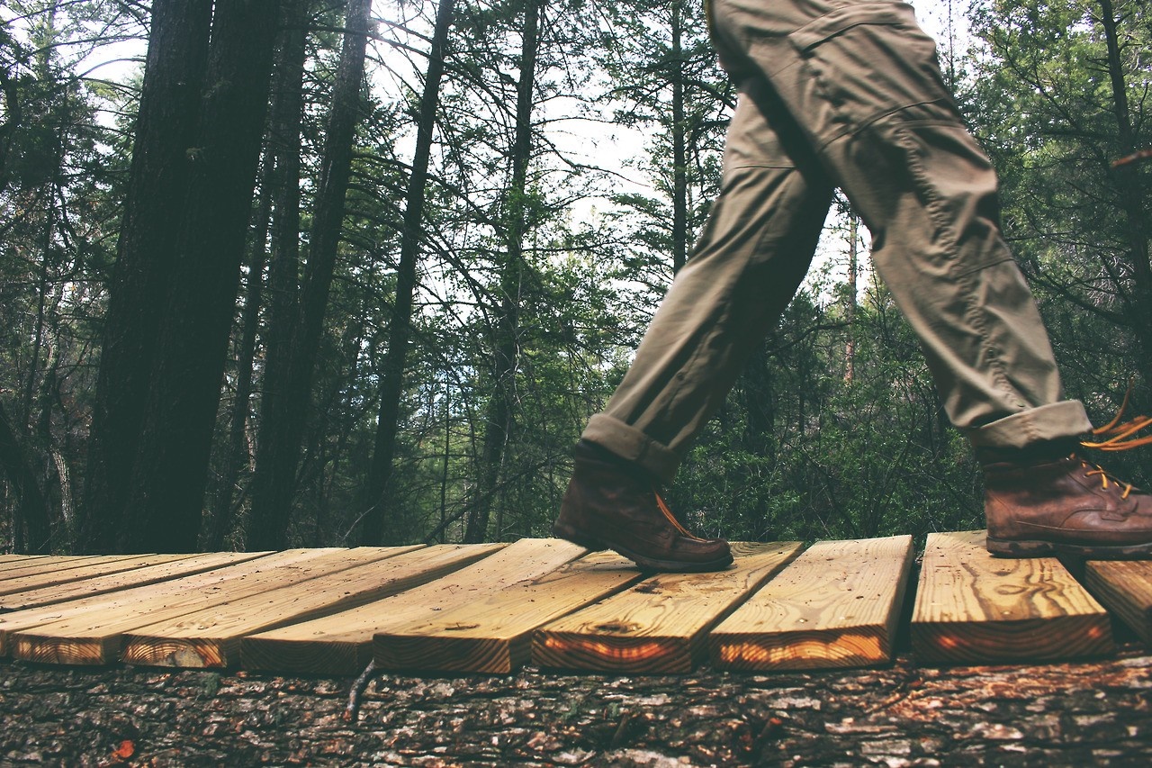 Person walking on a wooden bridge in a forest HD Wallpaper