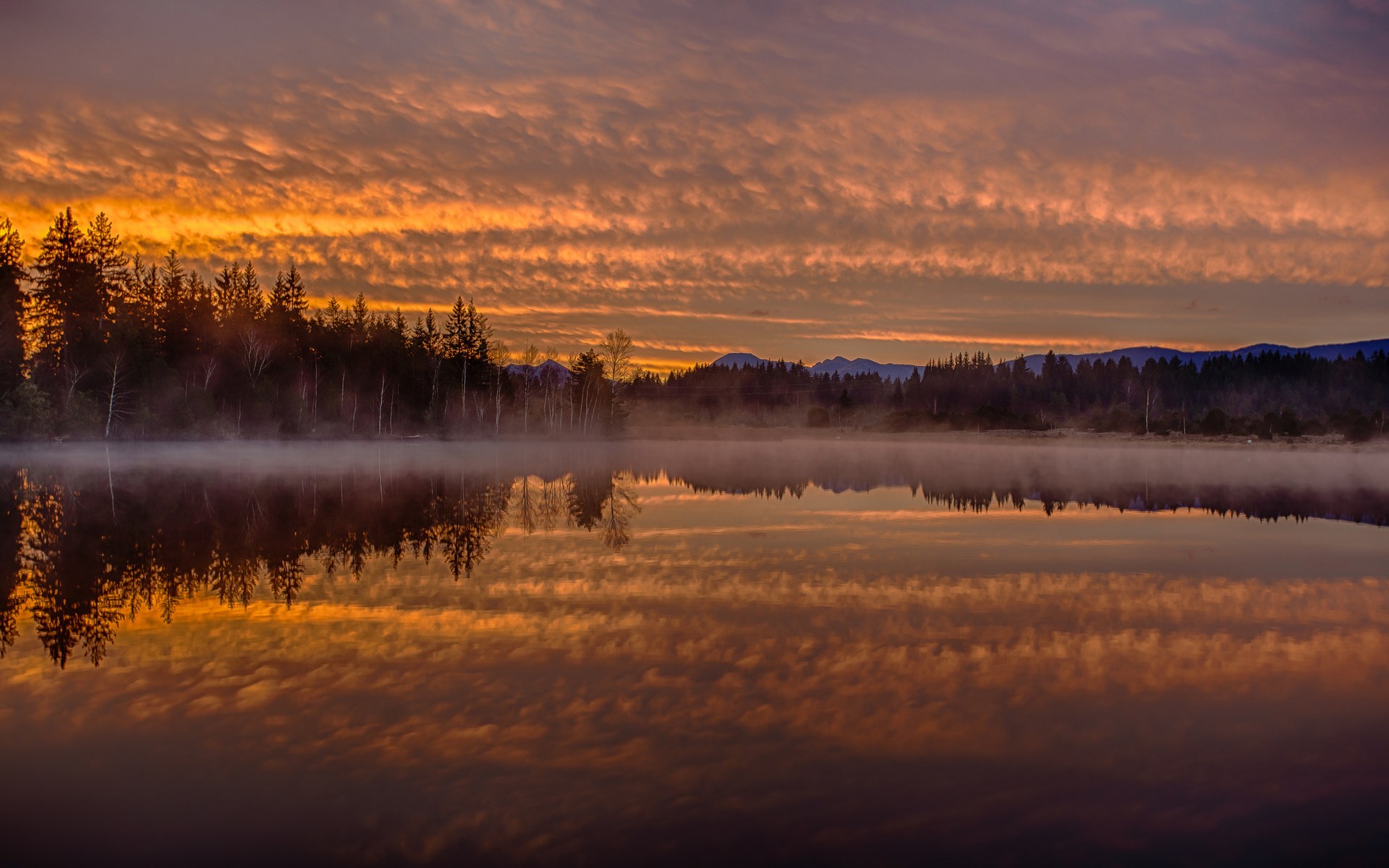 Sunrise over a misty lake with forest reflection HD Wallpaper