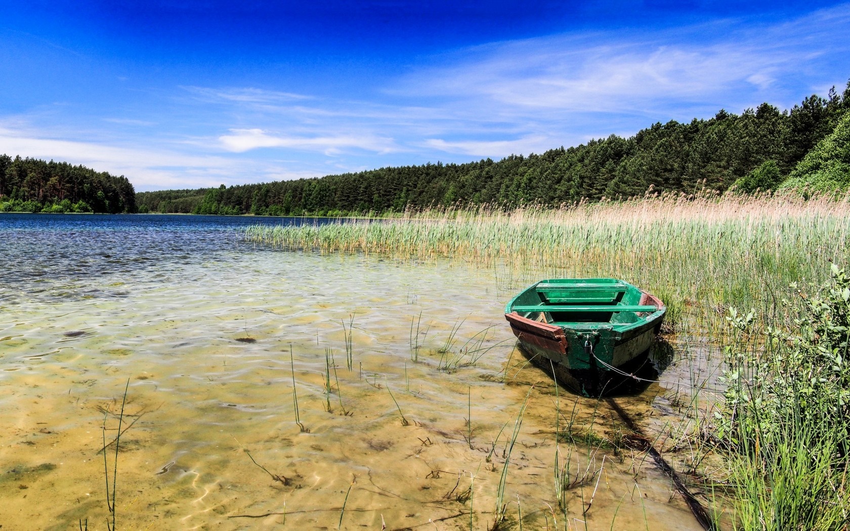 Green boat on a lake shore with reeds and forest HD Wallpaper
