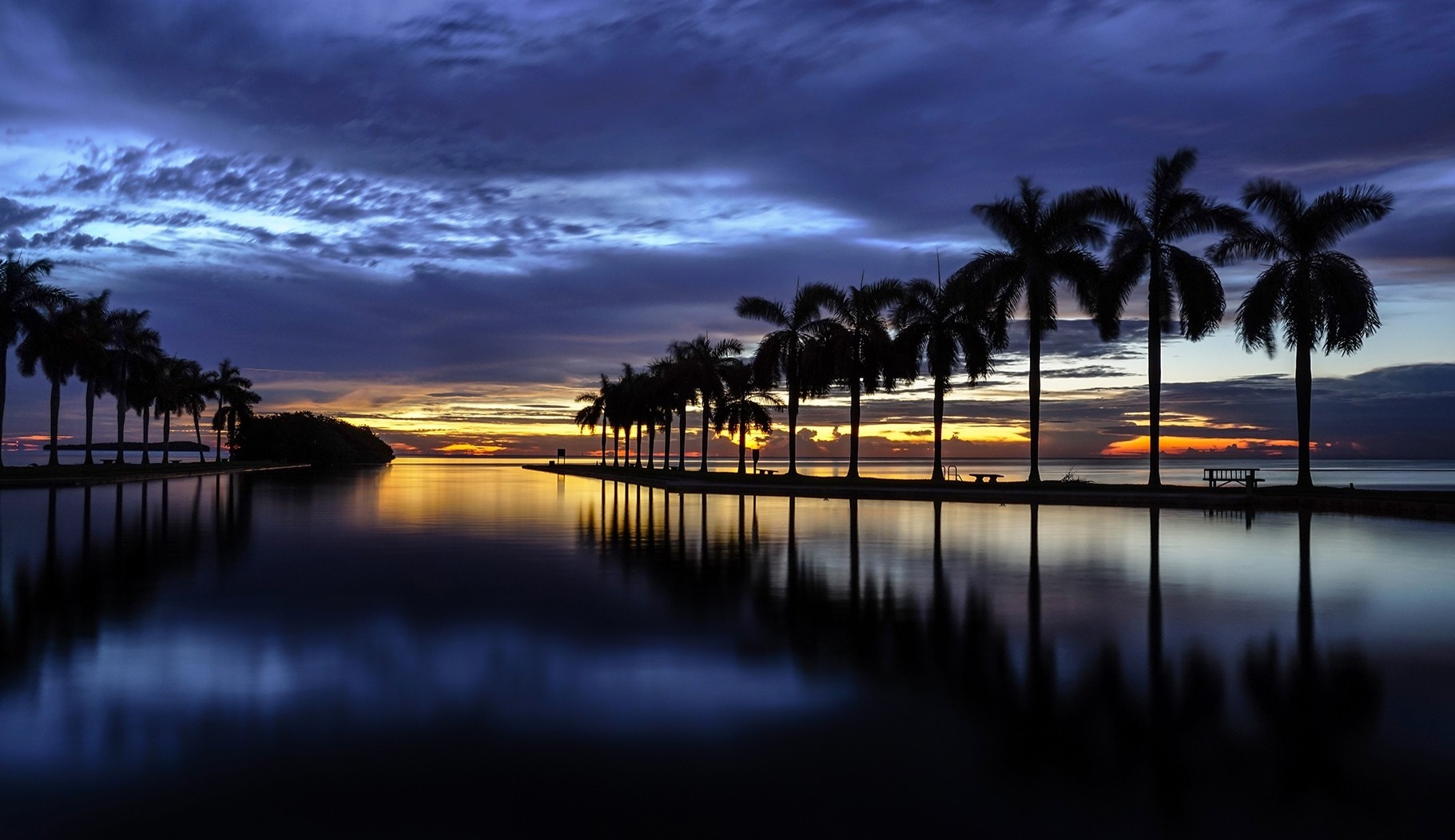 Palm trees silhouetted against a sunset over the water HD Wallpaper