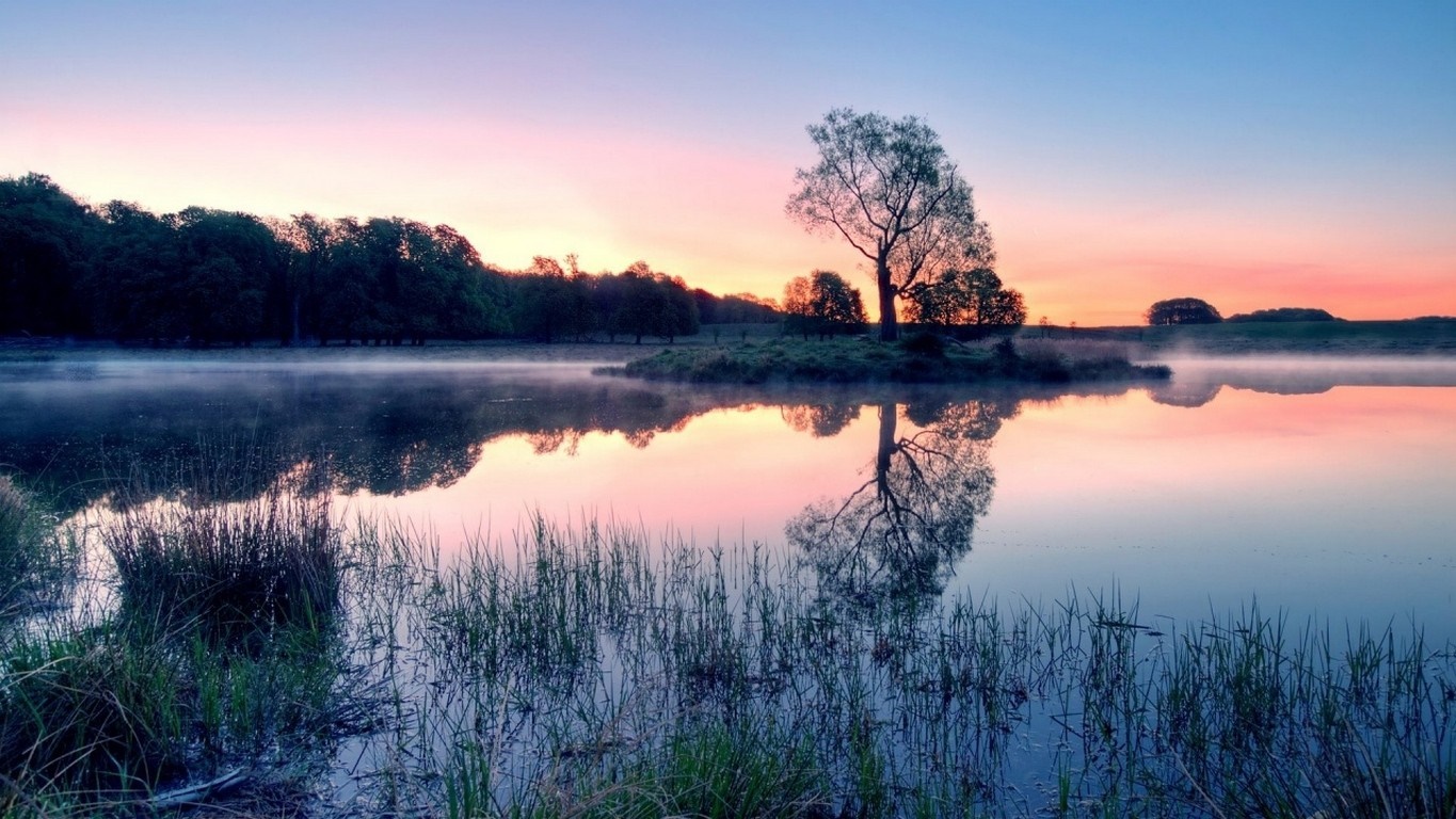 Misty lake at sunrise with a lone tree on an island HD Wallpaper