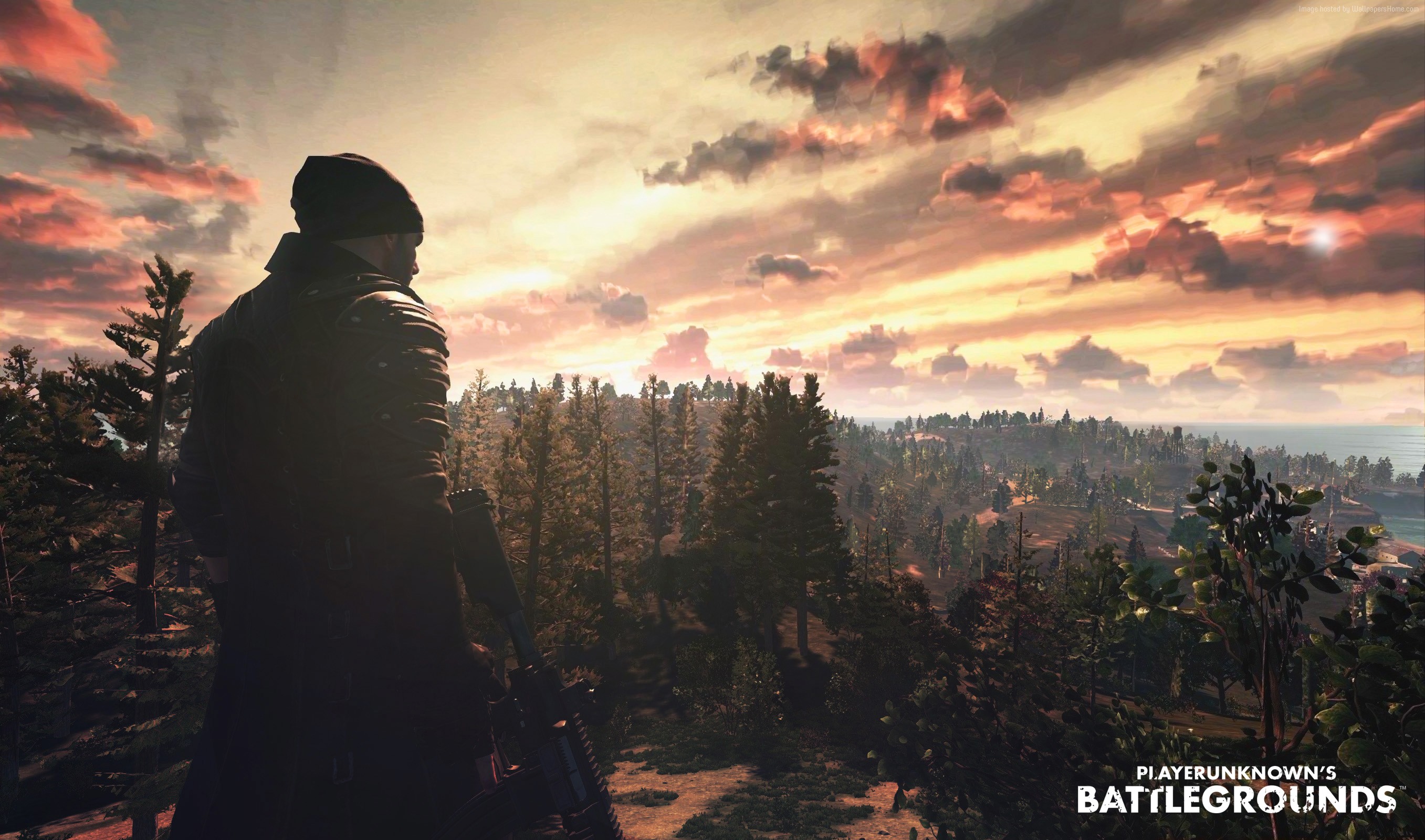 PlayerUnknown's Battlegrounds character overlooking a forest landscape HD Wallpaper