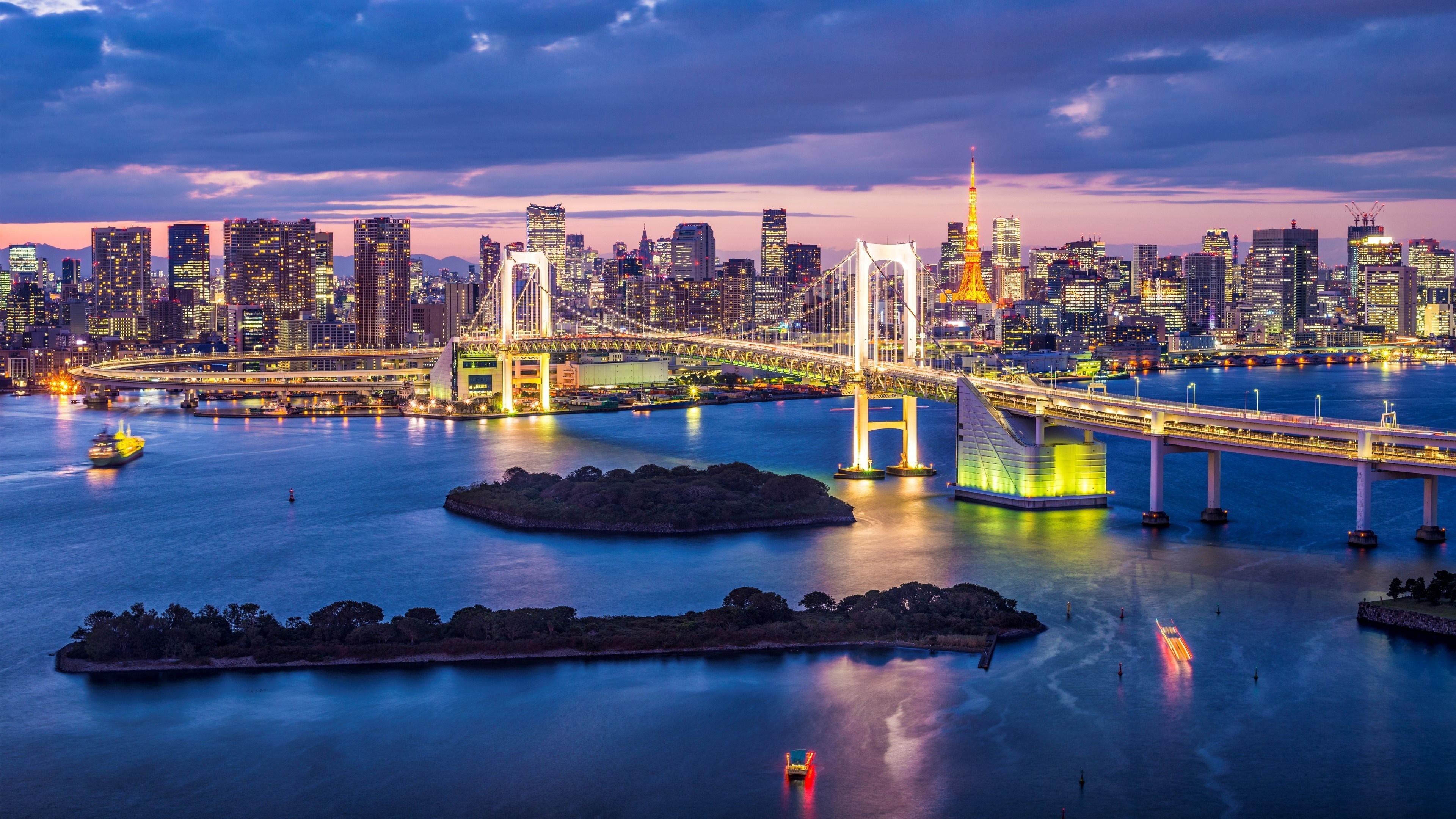 Tokyo cityscape with Rainbow Bridge and Tokyo Tower at dusk HD Wallpaper