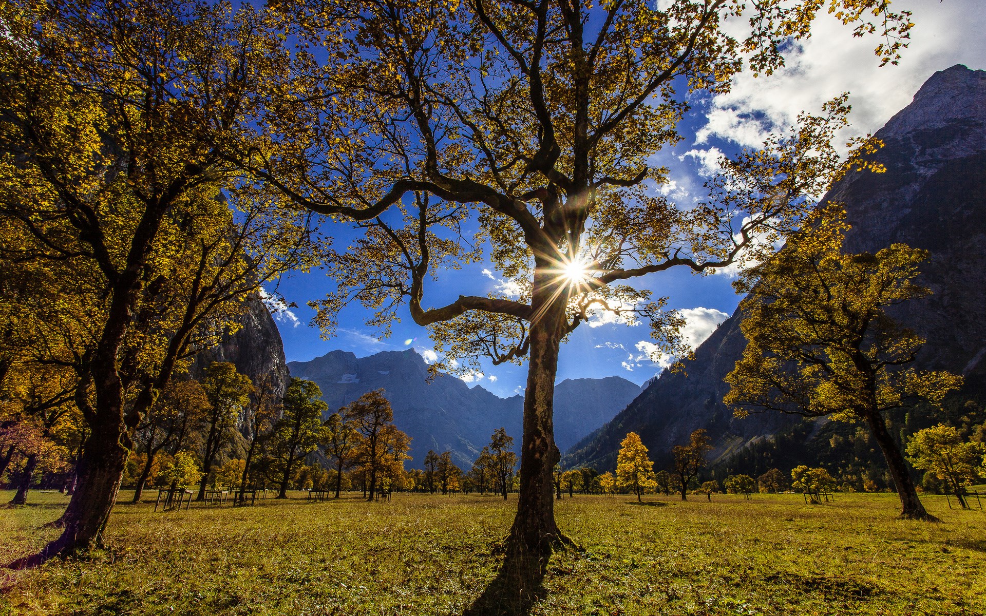 Autumn trees in a mountain valley with sunburst HD Wallpaper