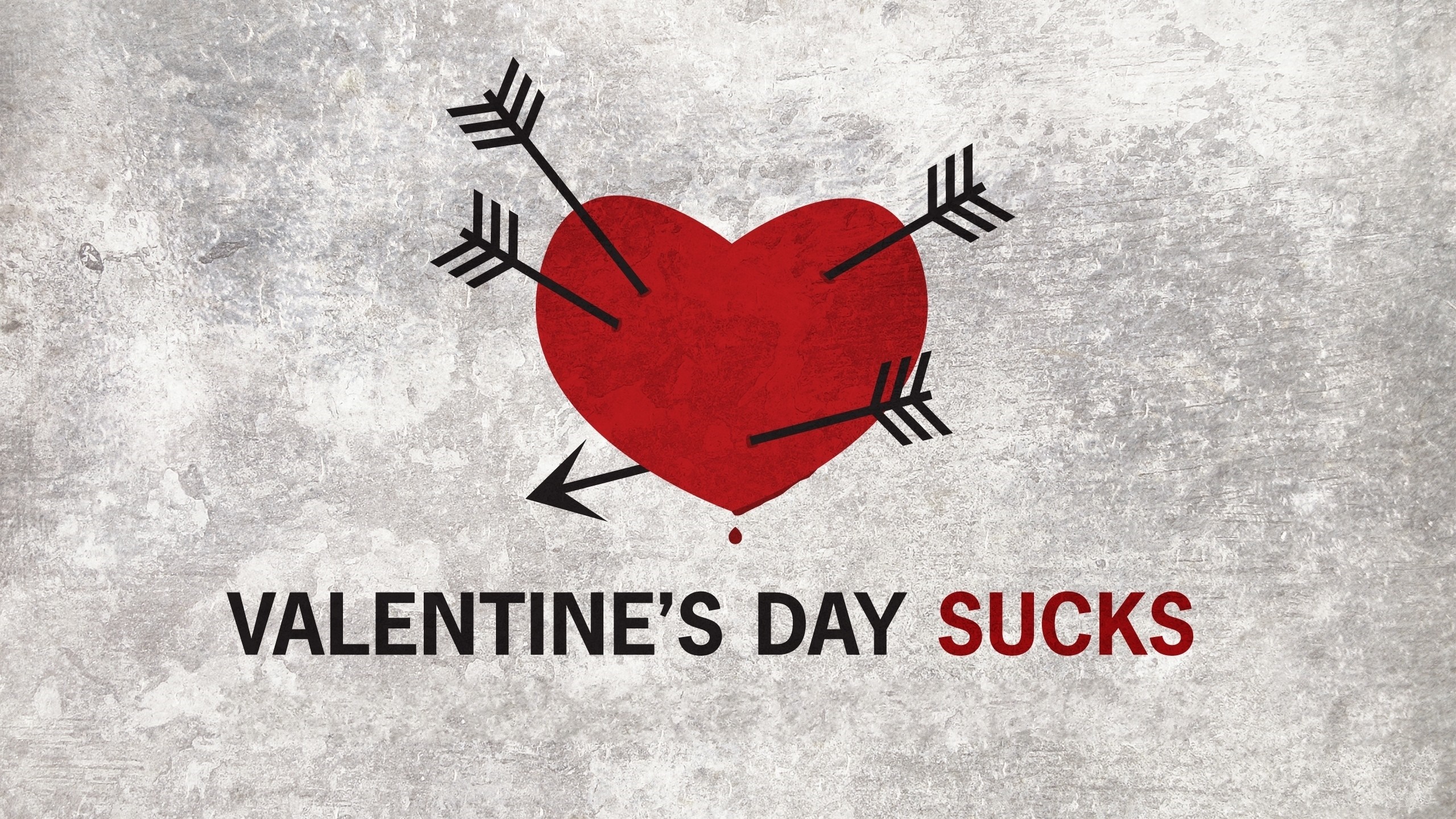 Valentine's Day Sucks illustration HD Wallpaper