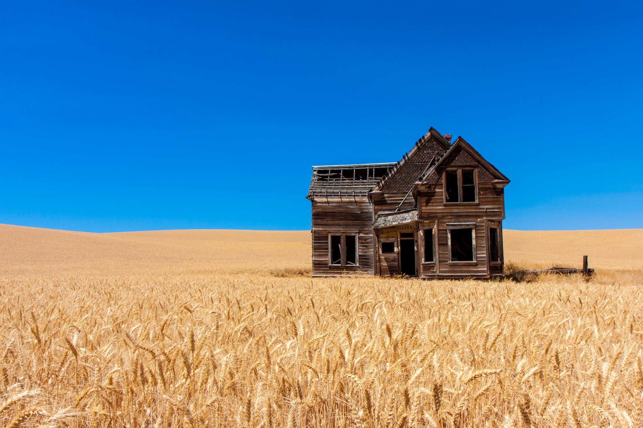 Abandoned house in a golden wheat field under a blue sky HD Wallpaper