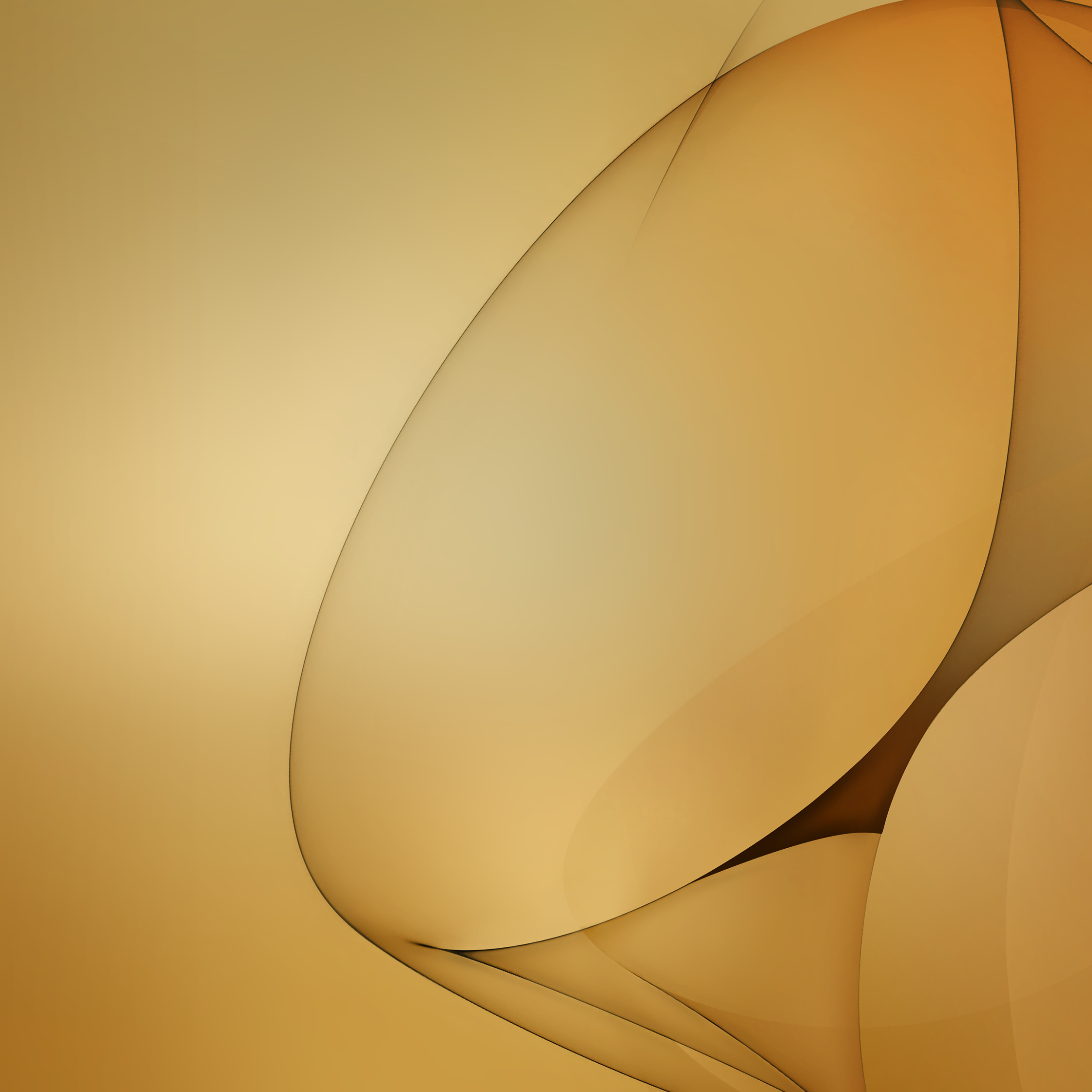 Abstract golden flowing shapes with light and shadow HD Wallpaper