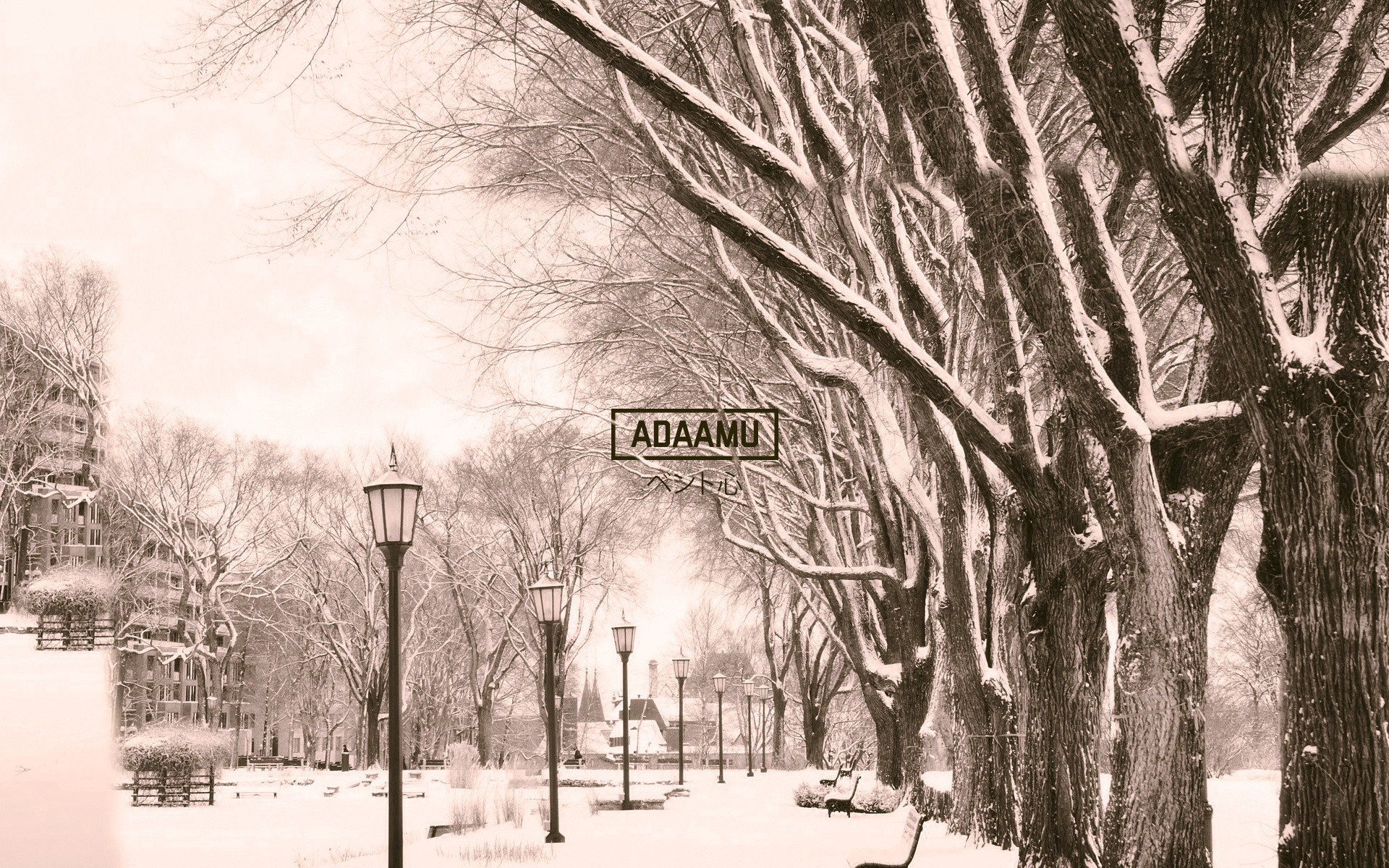 Snowy park with trees and lampposts HD Wallpaper