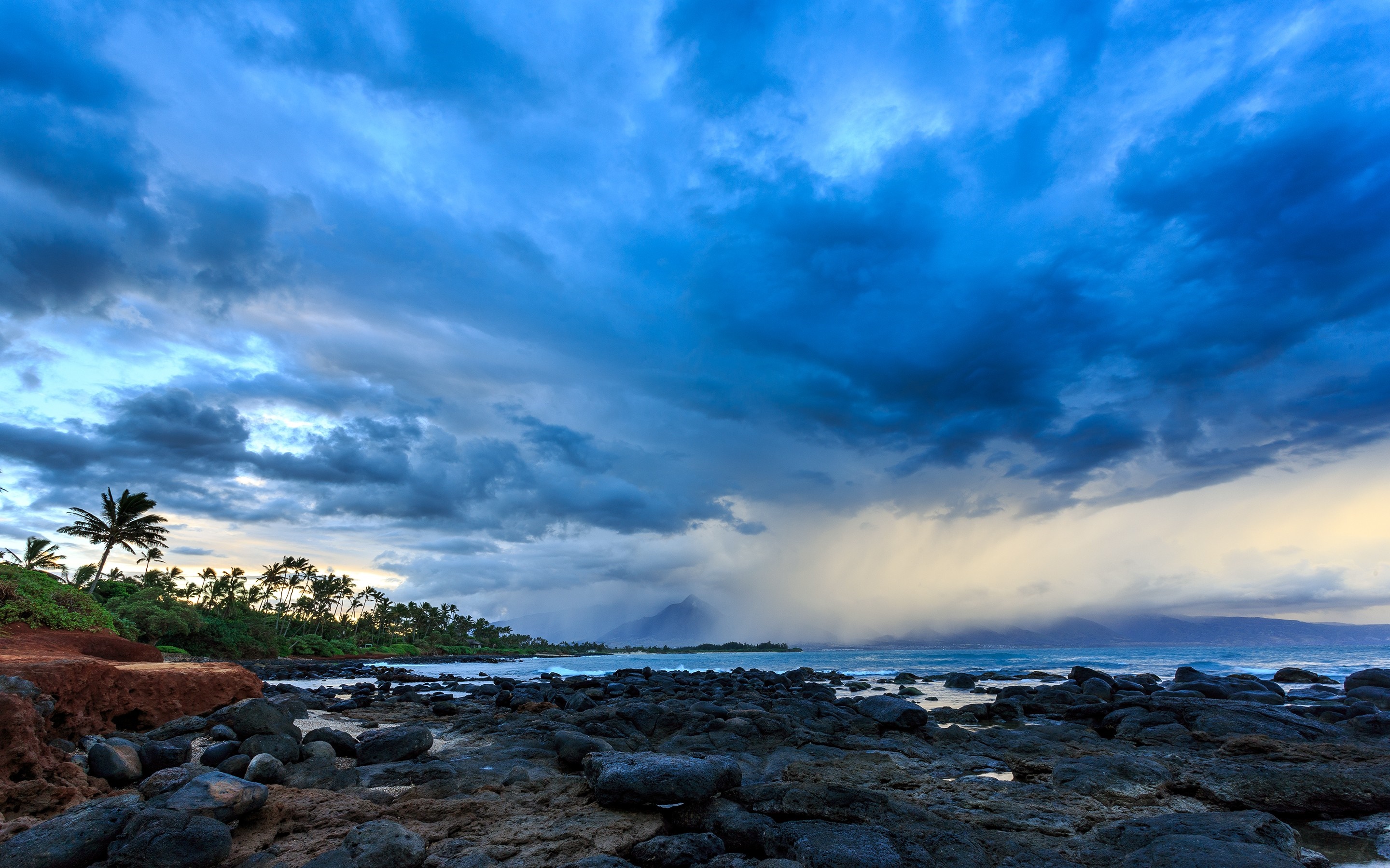 Rocky shore with palm trees under stormy blue clouds HD Wallpaper