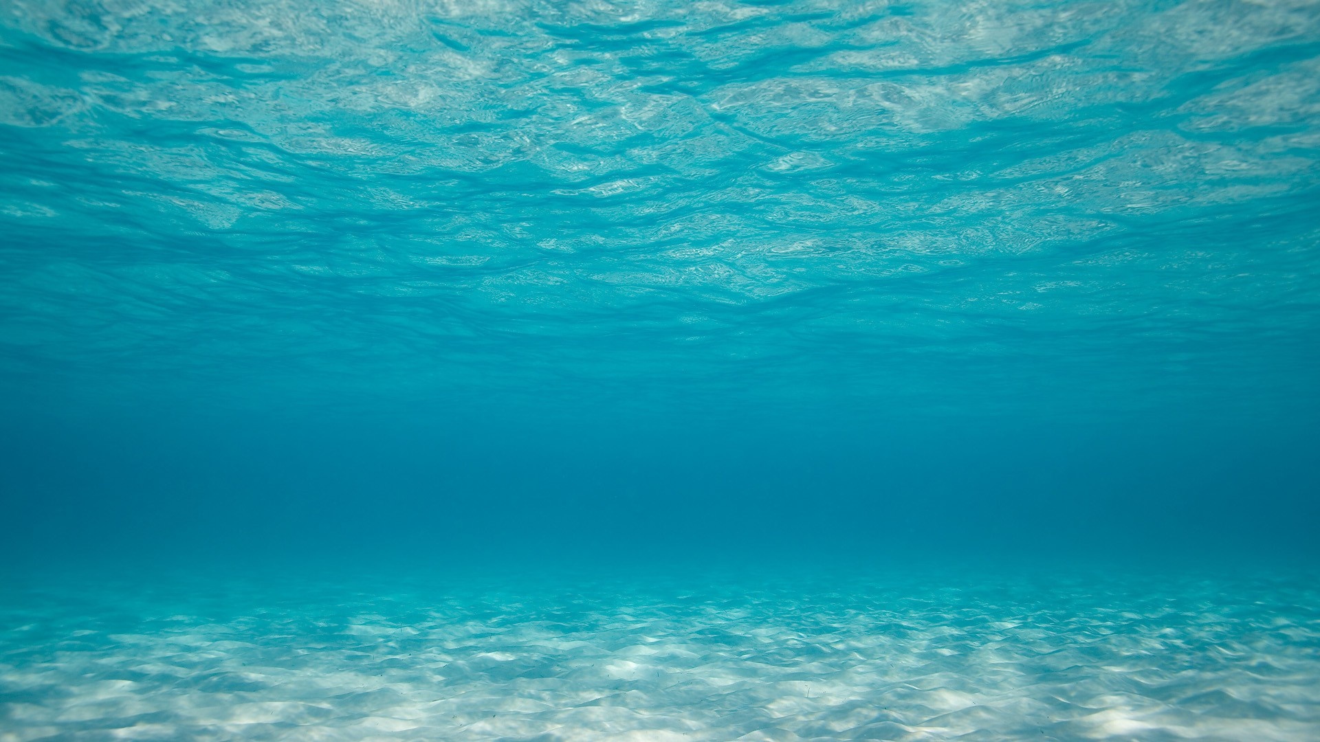 Underwater view of the ocean floor with sunlight filtering through the water HD Wallpaper