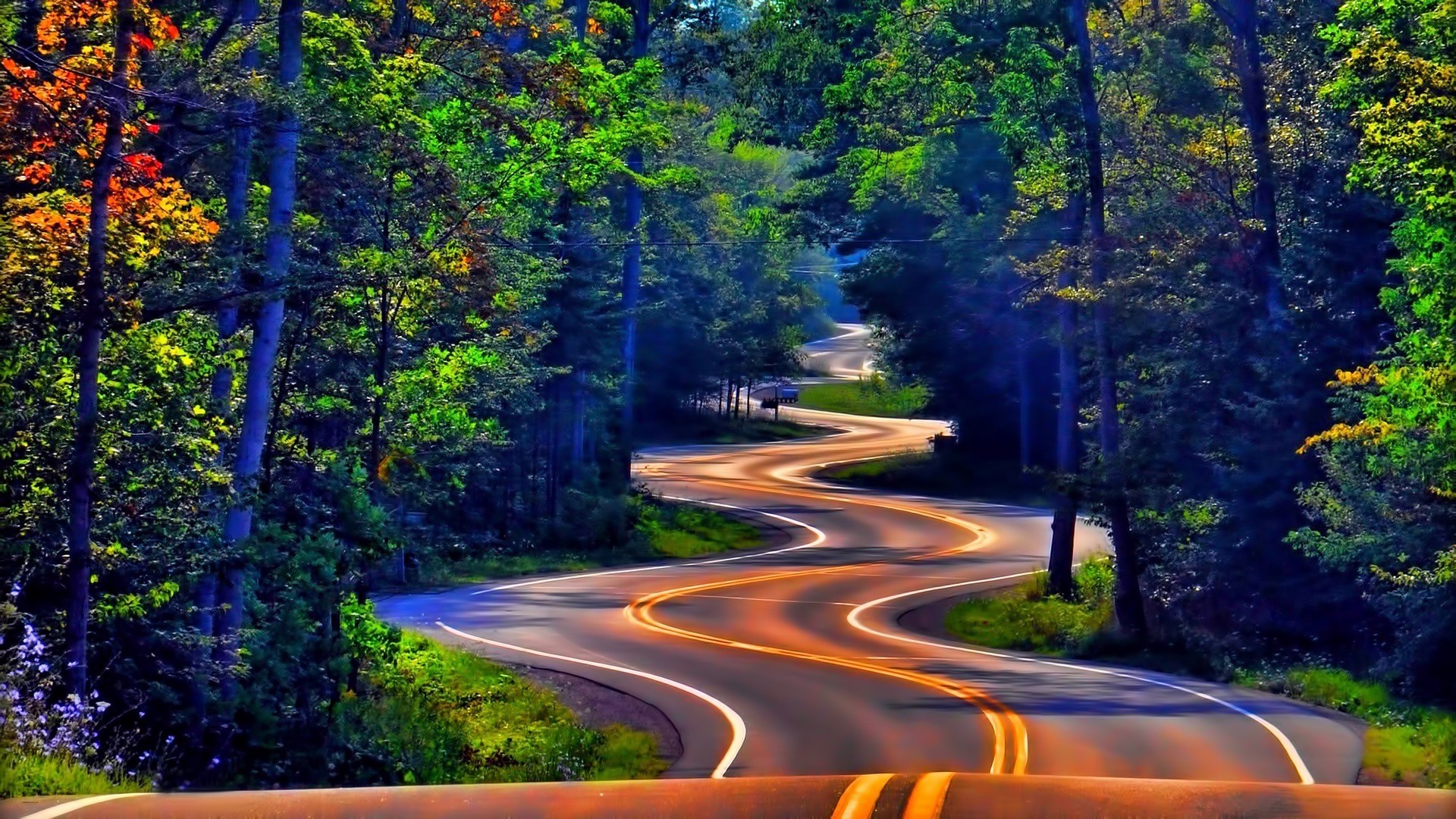 Winding road through a colorful forest in autumn HD Wallpaper