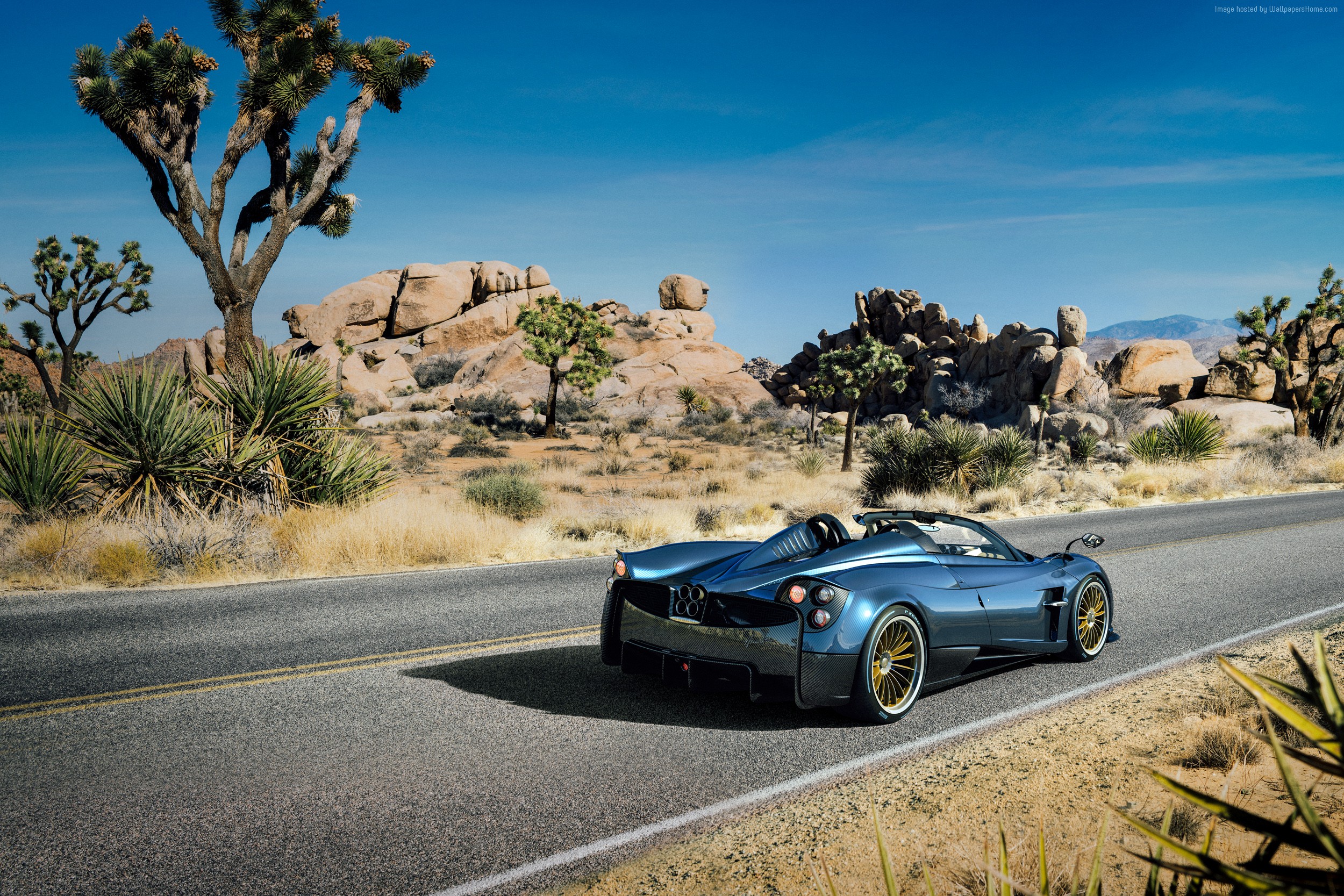 Pagani Huayra Roadster in Joshua Tree National Park HD Wallpaper
