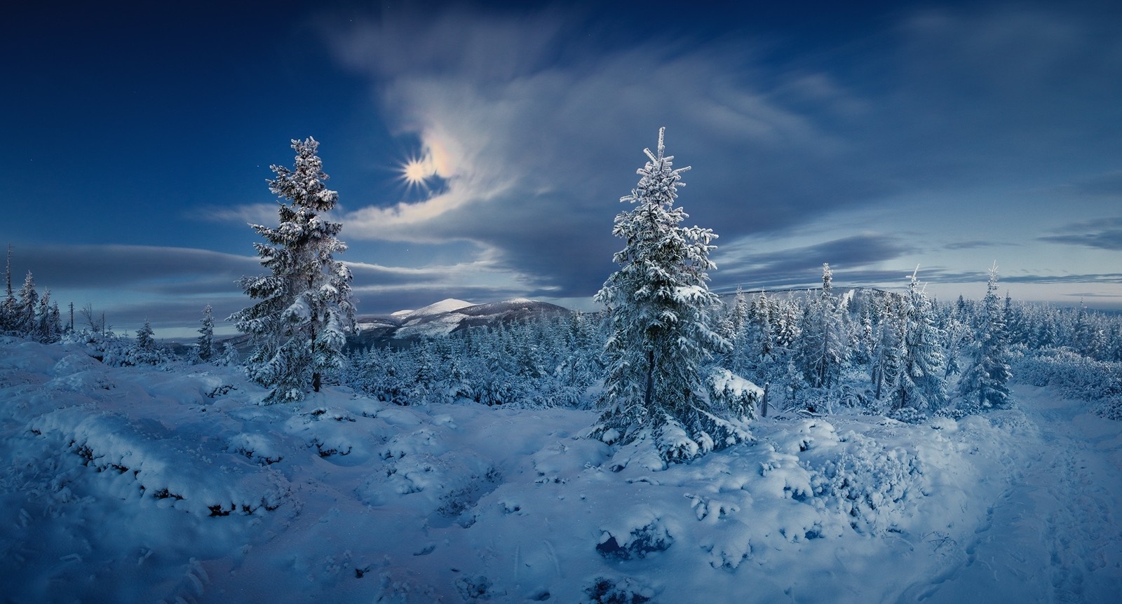 Snow-covered trees in a winter landscape with sun and clouds HD Wallpaper