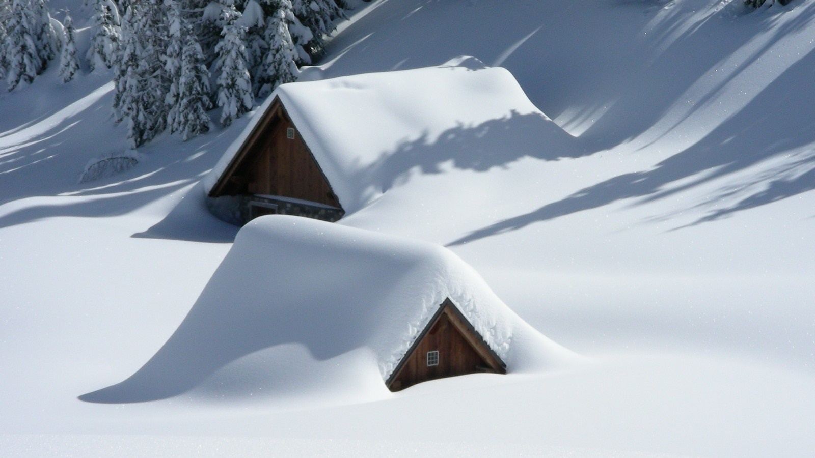 Two houses covered in snow in a winter landscape HD Wallpaper