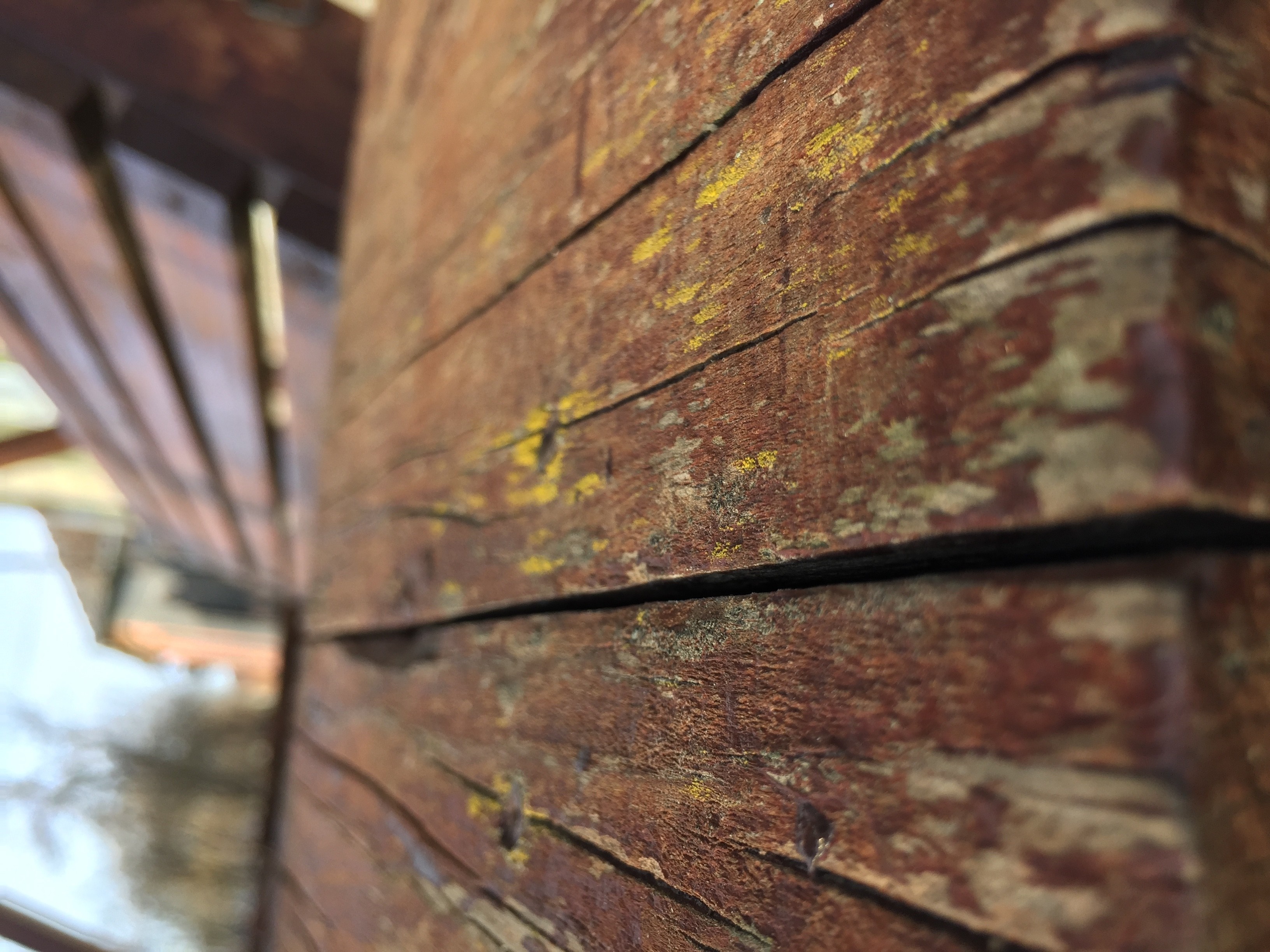 Close-up of weathered wooden planks with yellow and green discoloration HD Wallpaper
