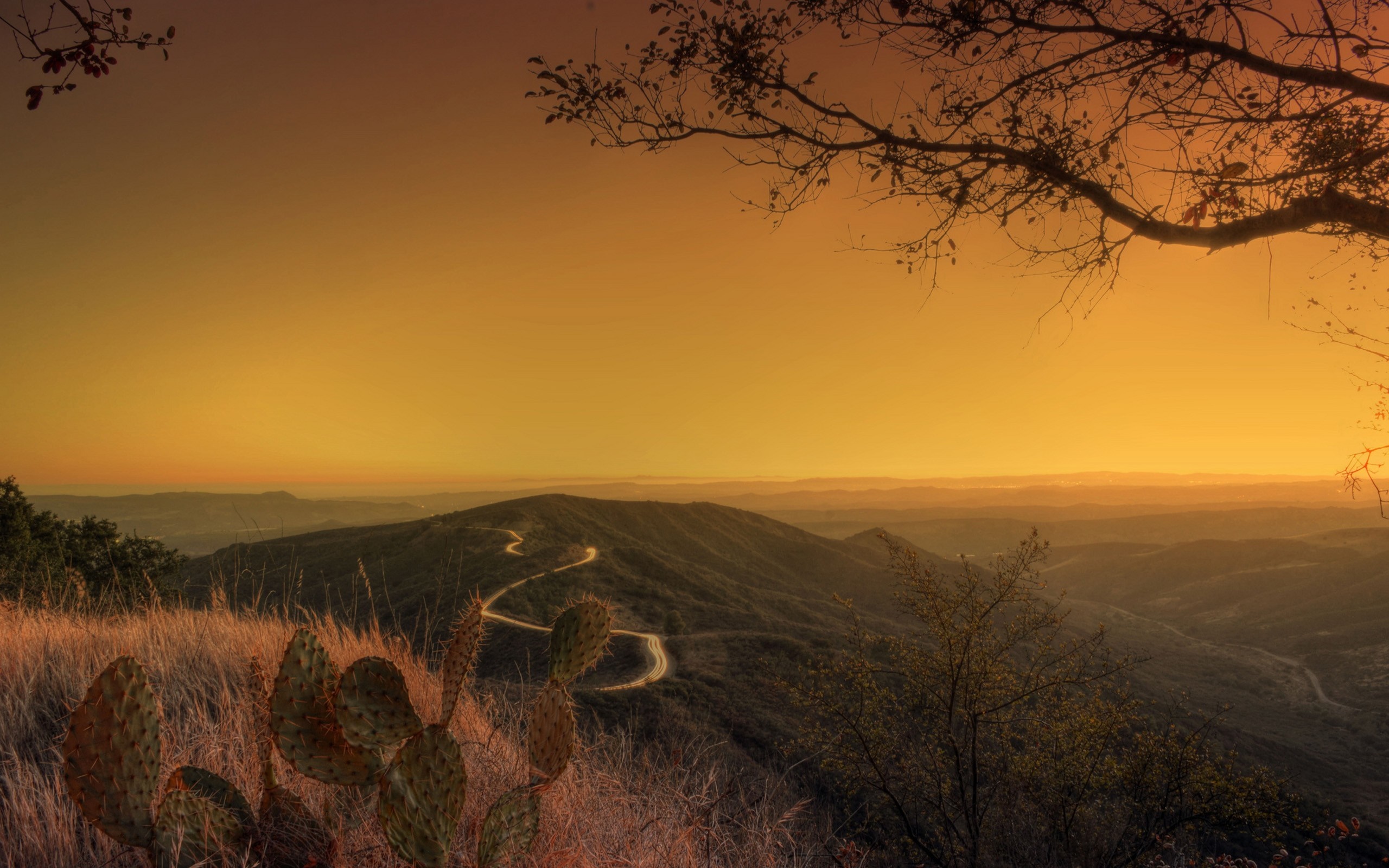 Winding road through hills at sunset with cactus HD Wallpaper