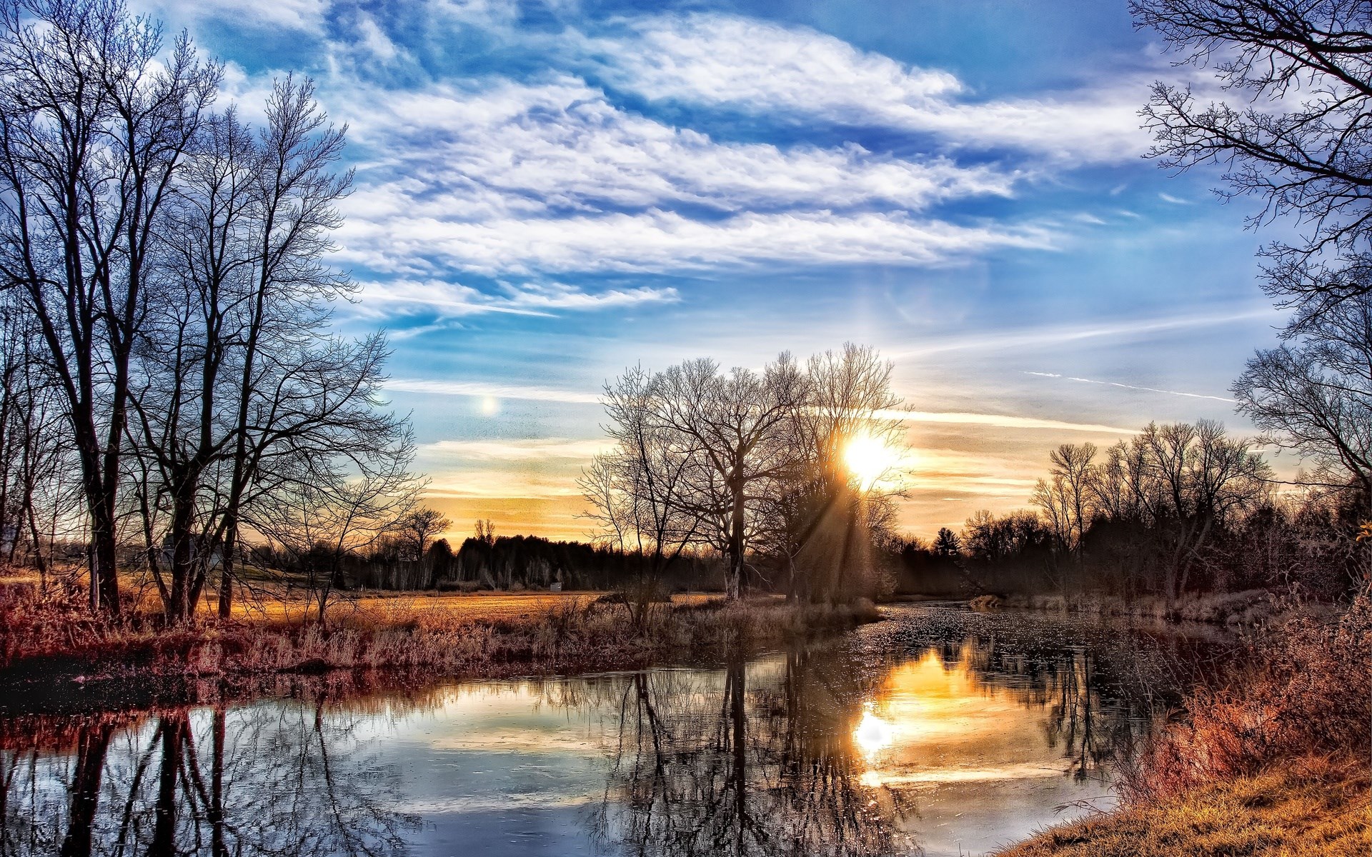 Sunset over a tranquil lake with bare trees HD Wallpaper
