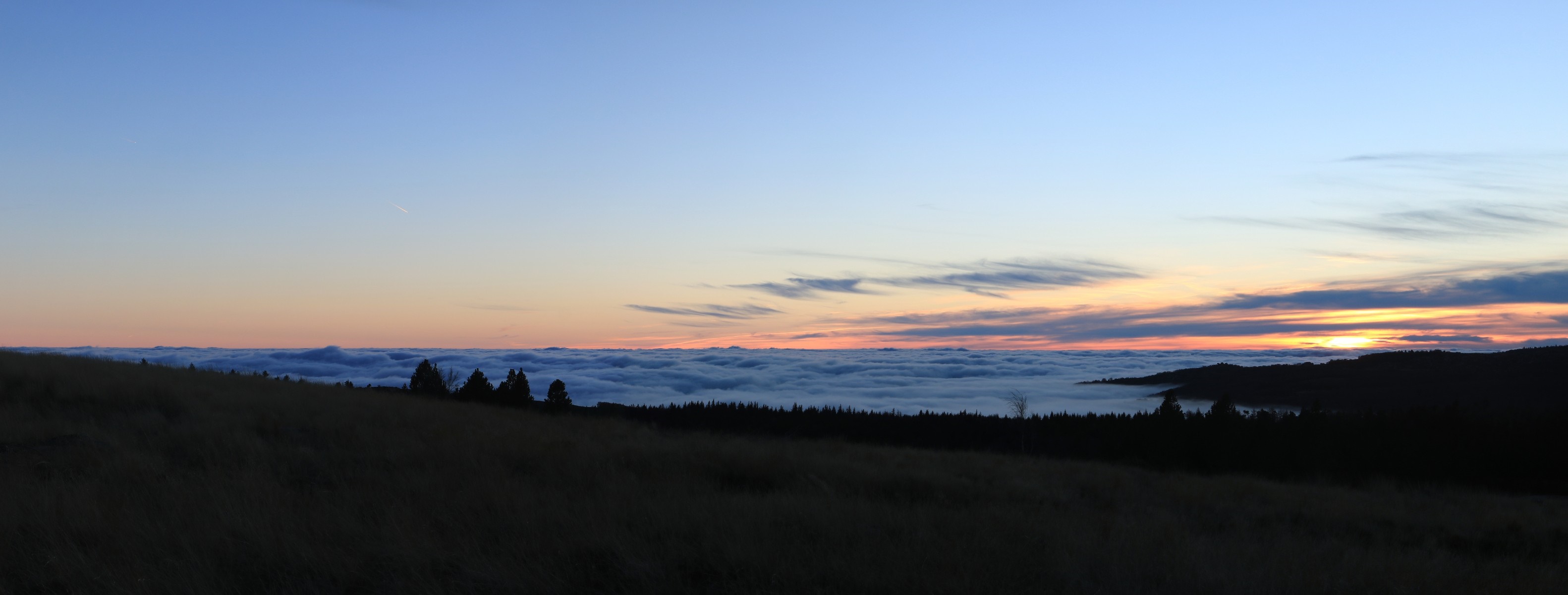 Sunset over a sea of clouds from a grassy hill HD Wallpaper