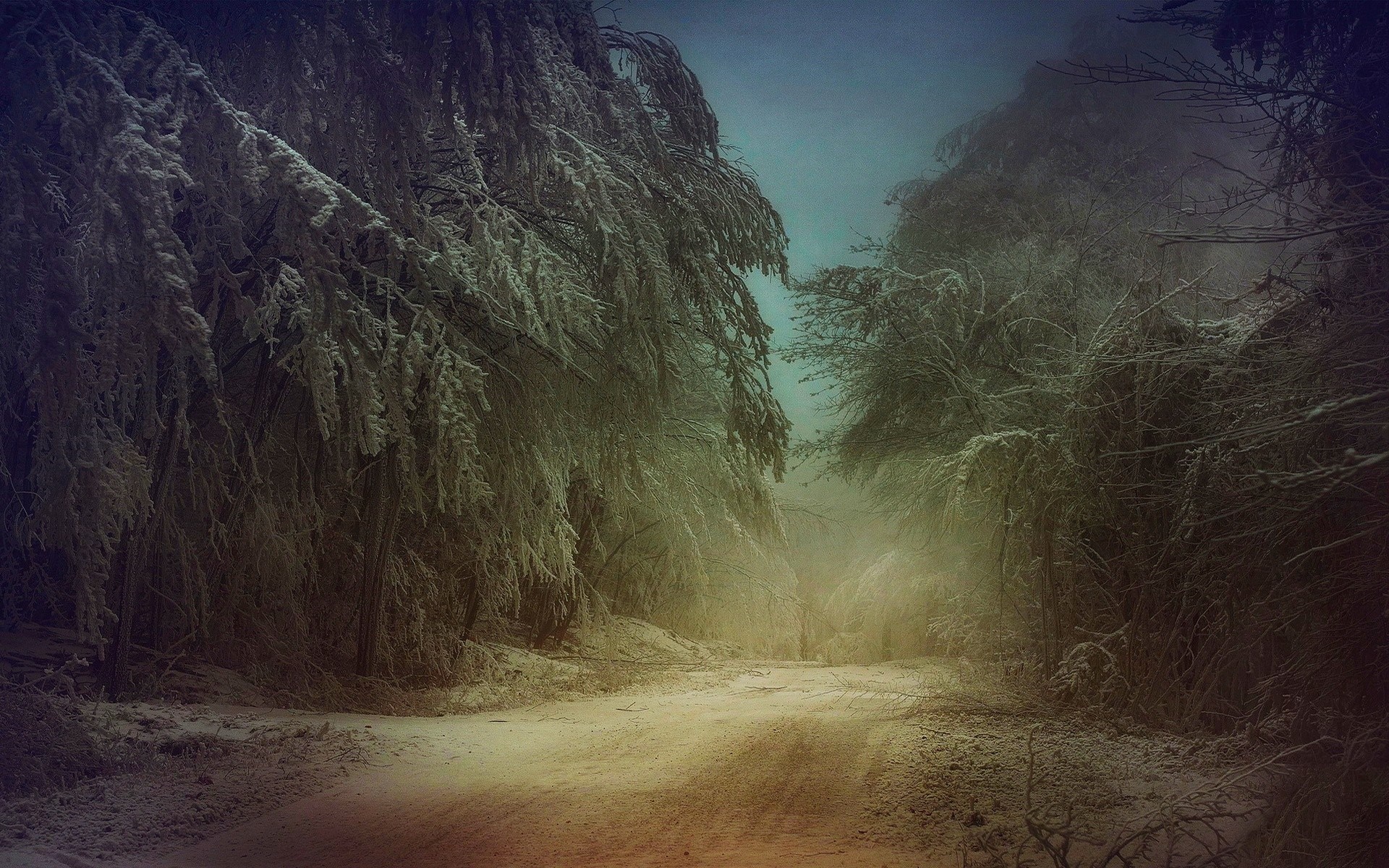 Snowy forest path with mist and sunlight HD Wallpaper